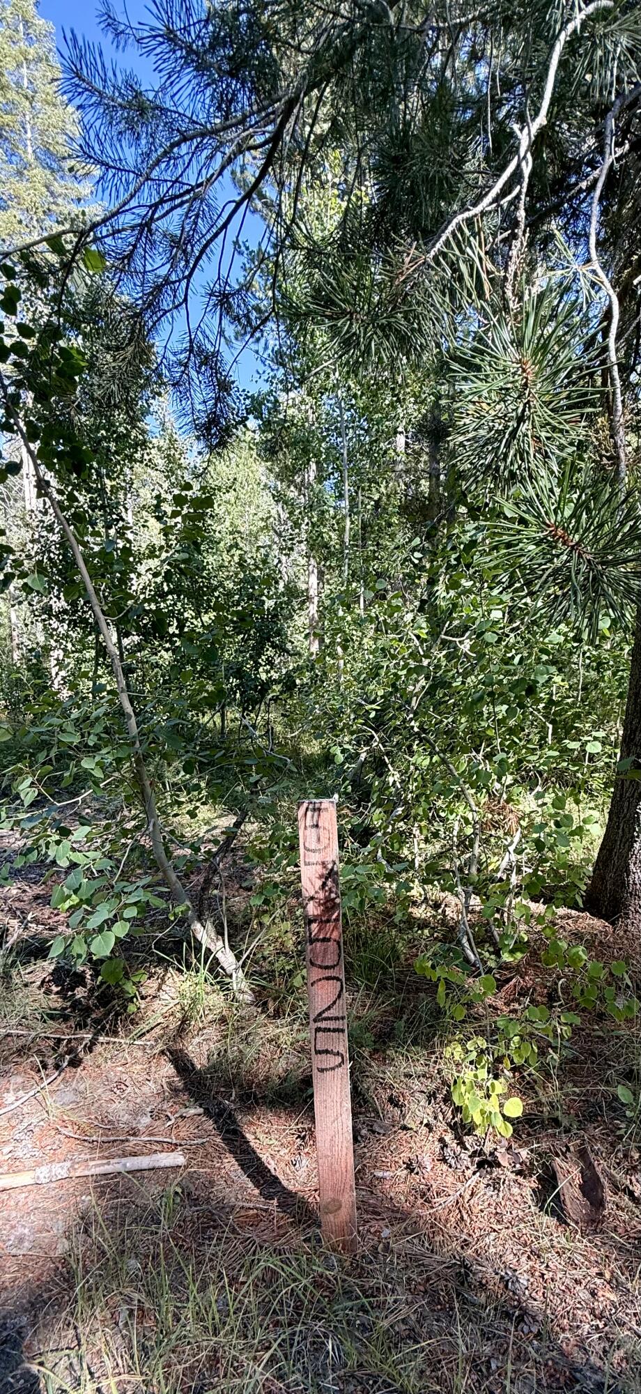 57525 Ponderosa Dr, Springville, CA 93265