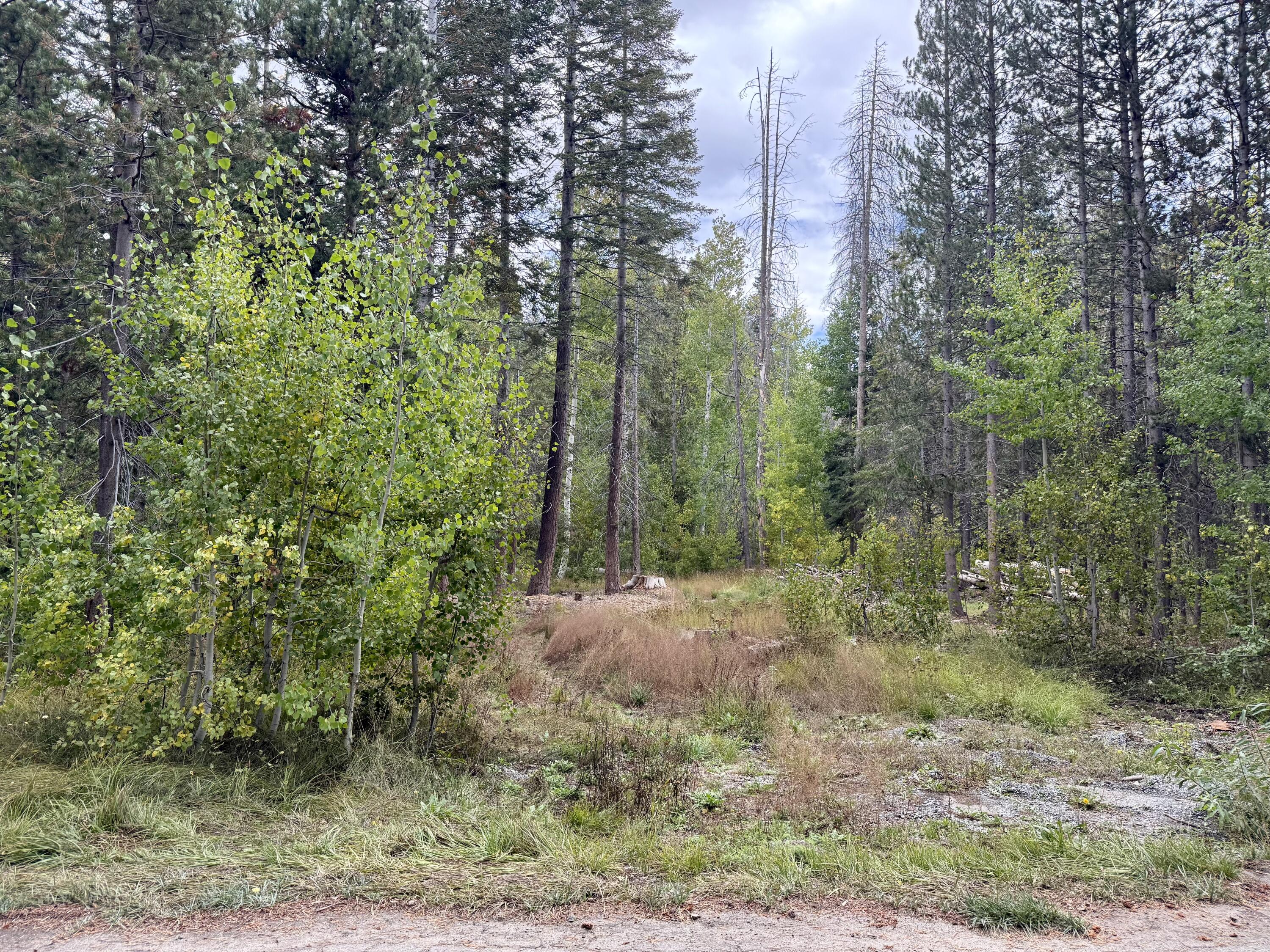 57525 Ponderosa Dr, Springville, CA 93265