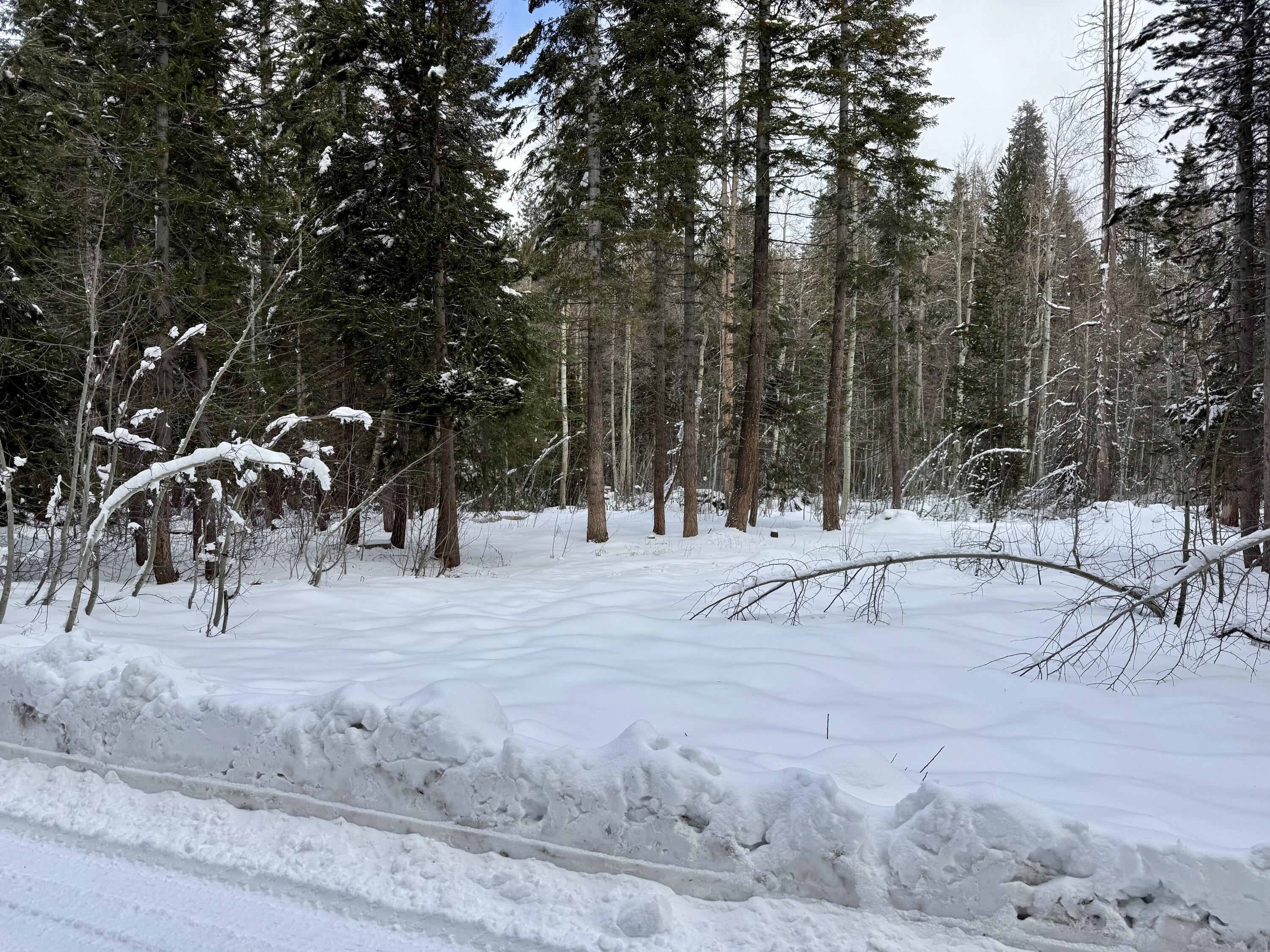 57525 Ponderosa Dr, Springville, CA 93265