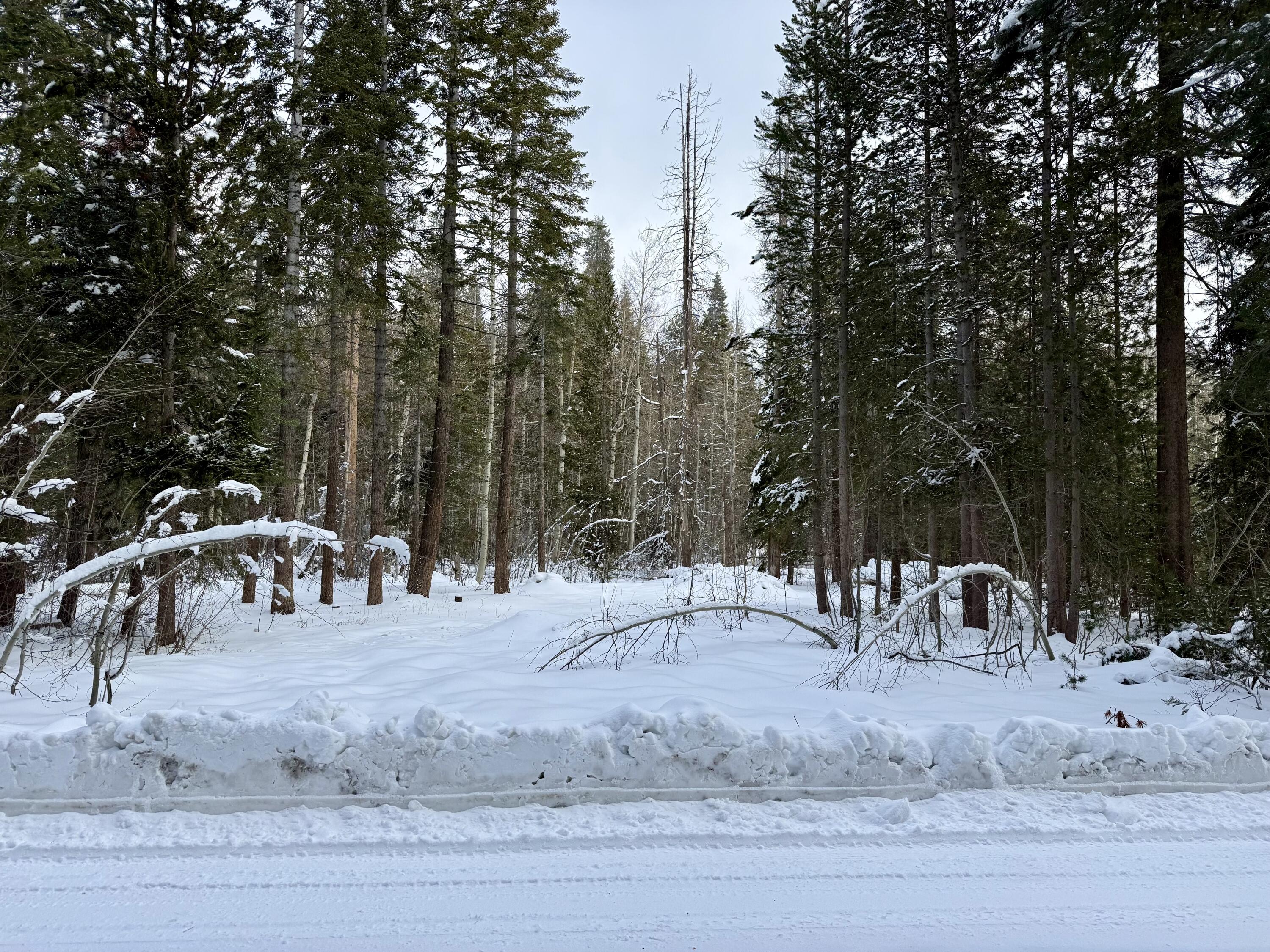 57525 Ponderosa Dr, Springville, CA 93265