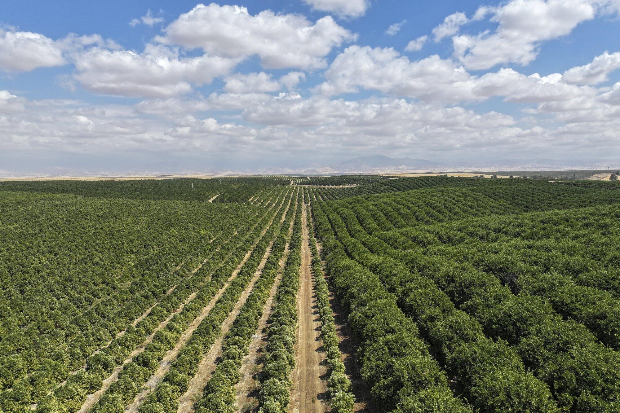 0 Ave. 2, Richgrove, CA 93261