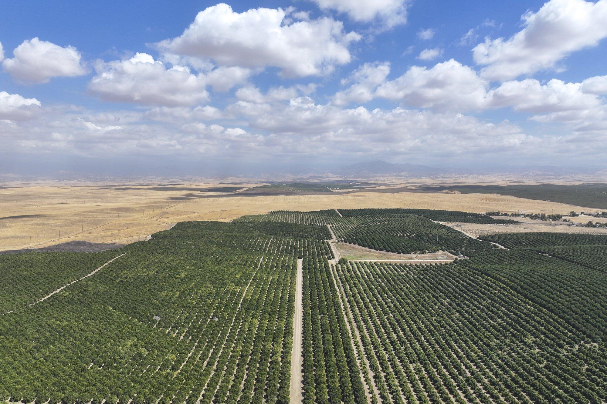 0 Ave. 2, Richgrove, CA 93261