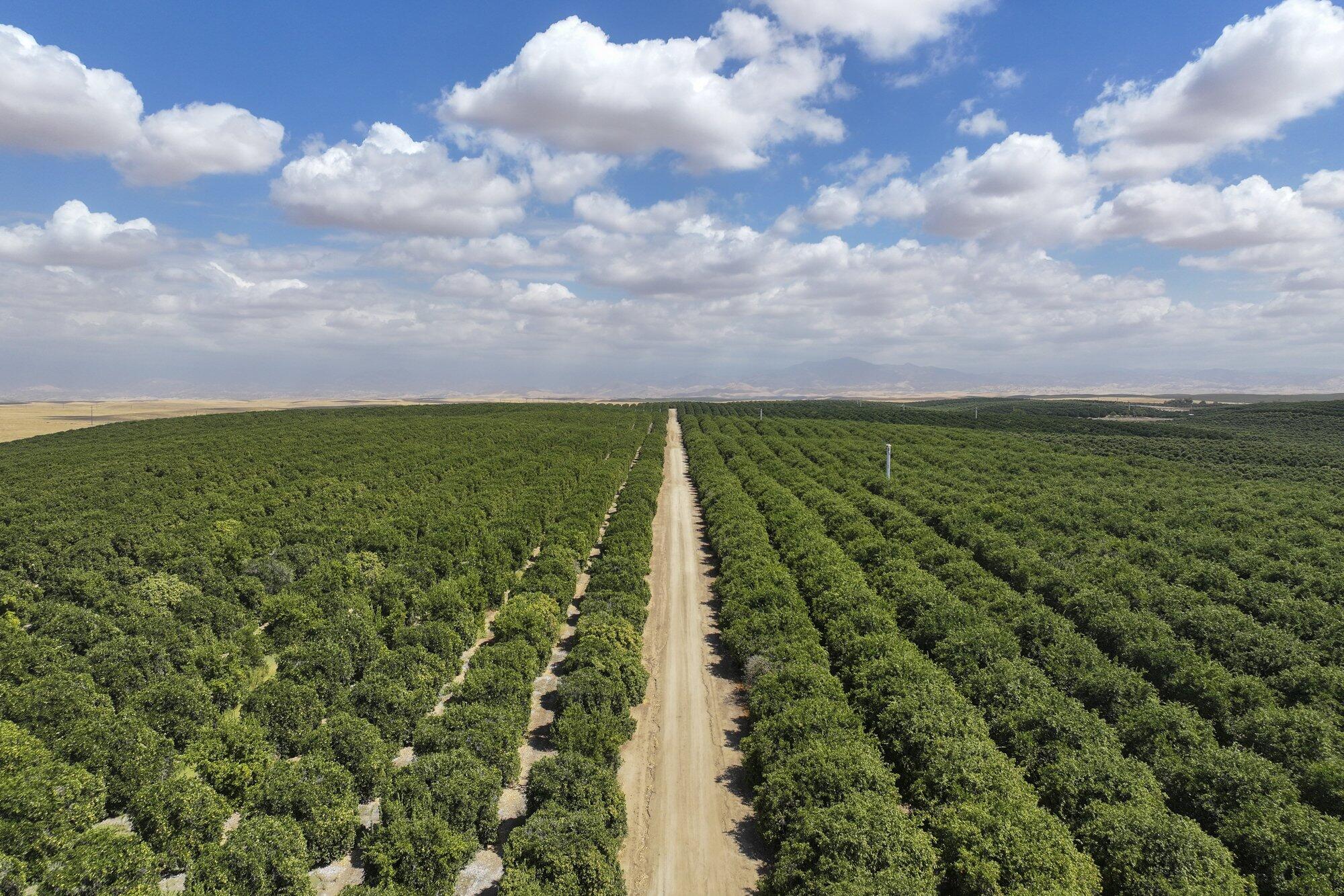 0 Ave. 2, Richgrove, CA 93261