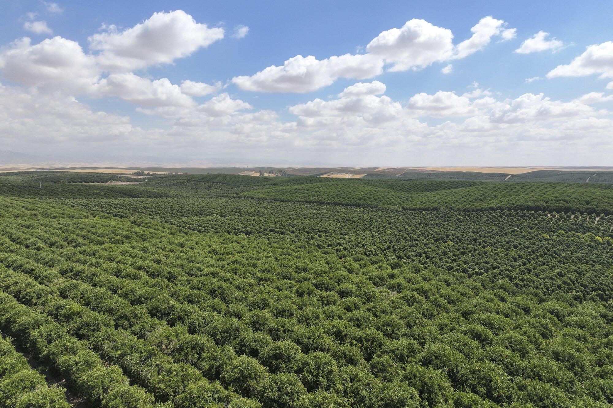 0 Ave. 2, Richgrove, CA 93261