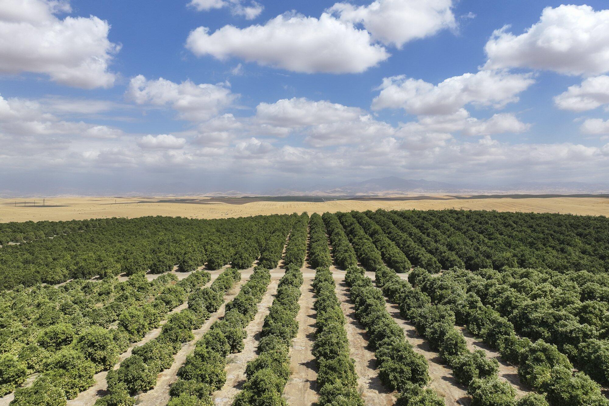 0 Ave. 2, Richgrove, CA 93261