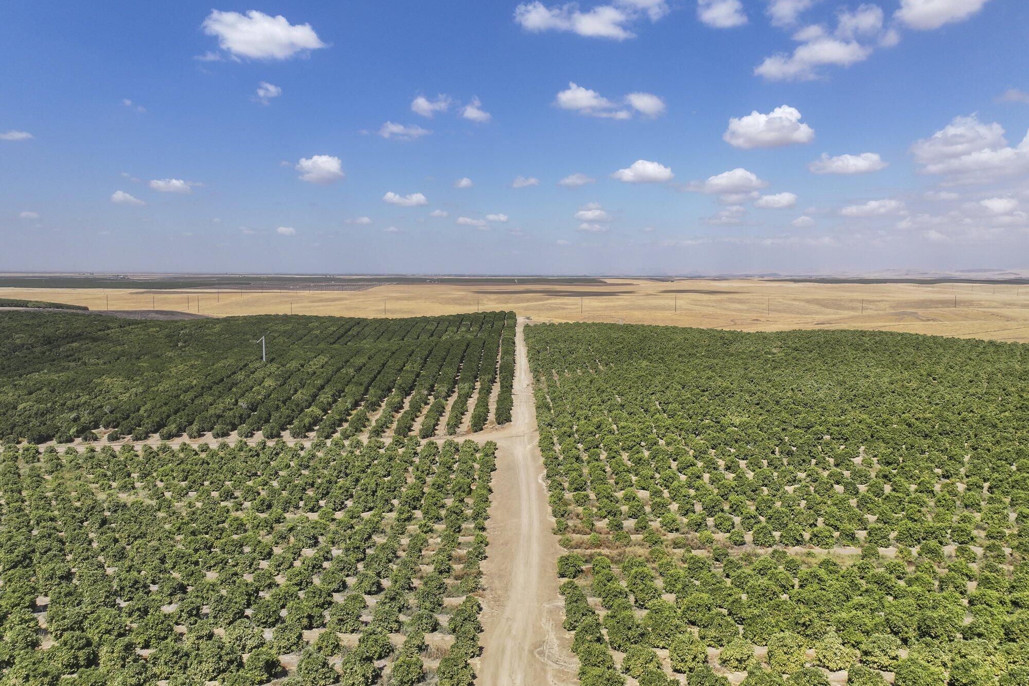 0 Ave. 2, Richgrove, CA 93261