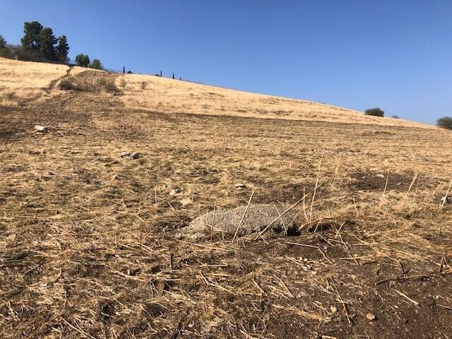 0 N Scenic Drive Dr, Porterville, CA 93257