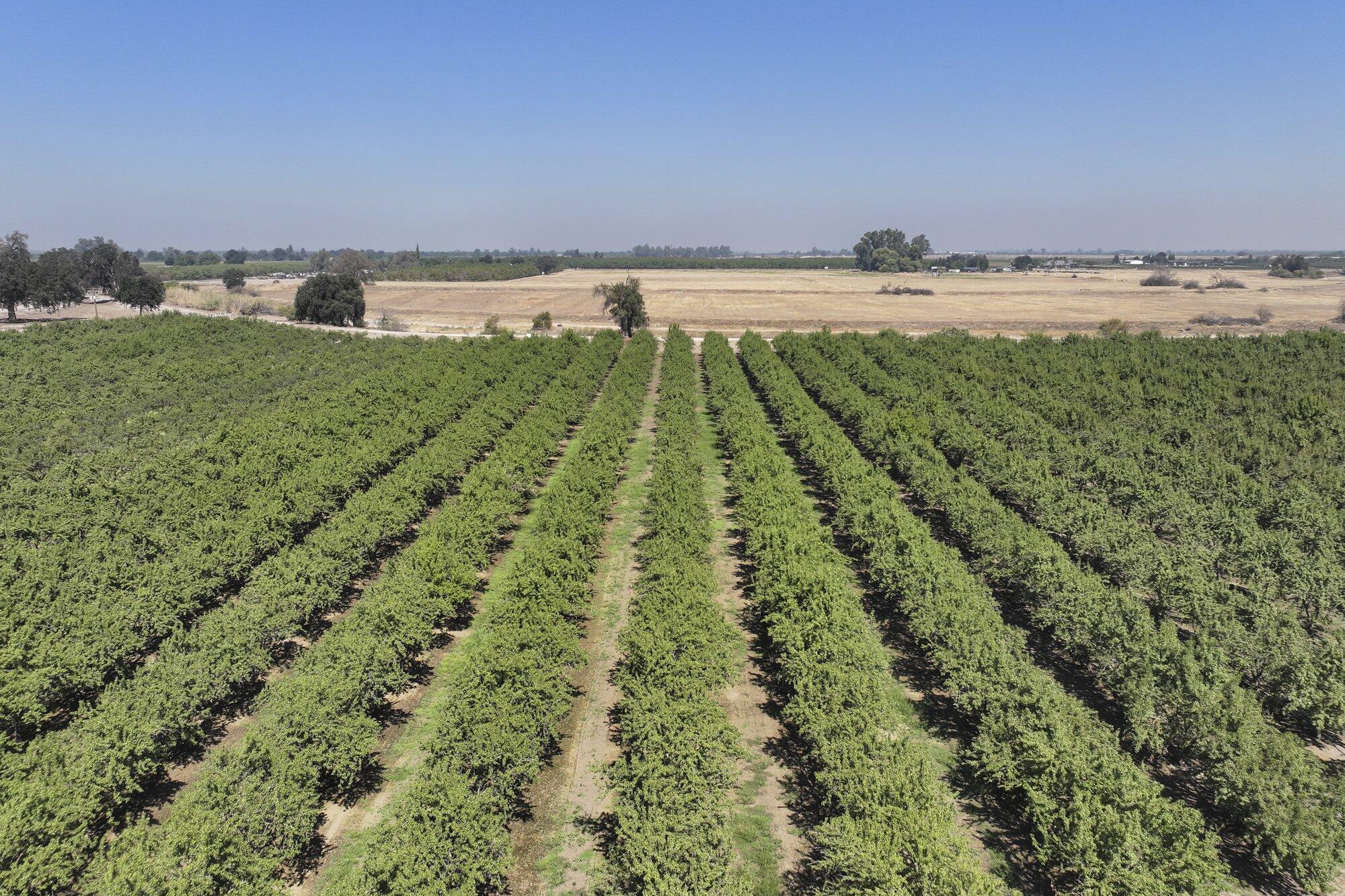 0 9 1/2 Ave, Hanford, CA 93230