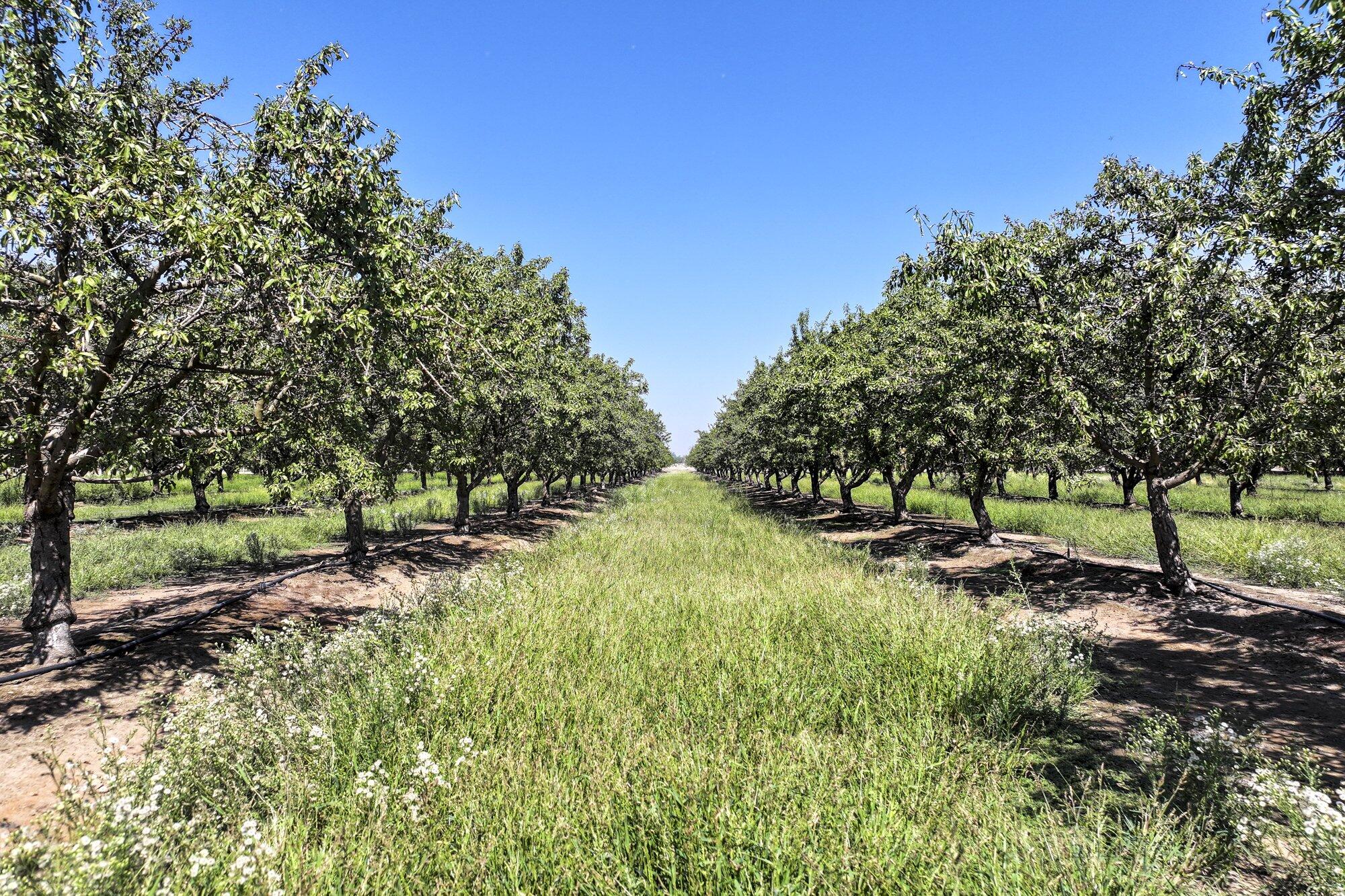 0 9 1/2 Ave, Hanford, CA 93230