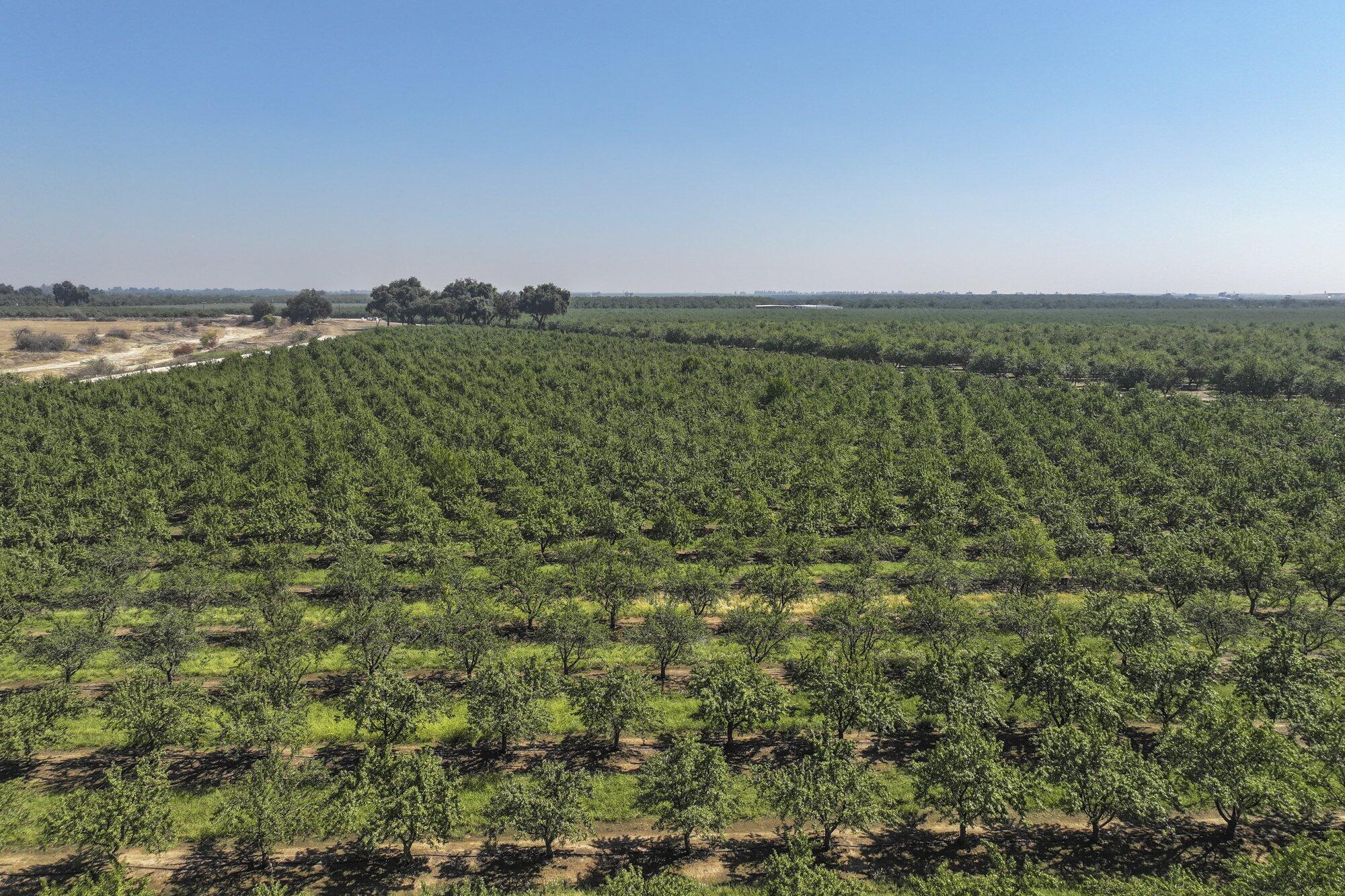 0 9 1/2 Ave, Hanford, CA 93230