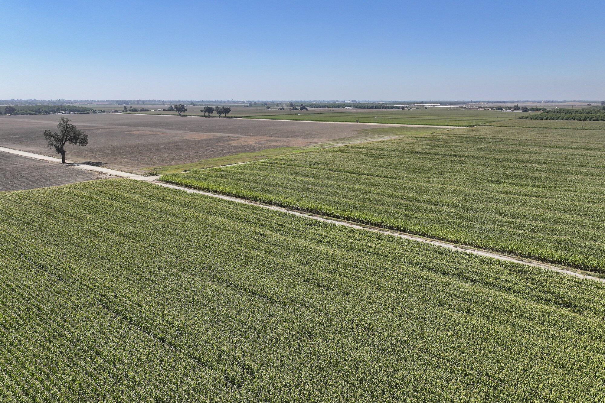 0 N Mooney Blvd, Visalia, CA 93277