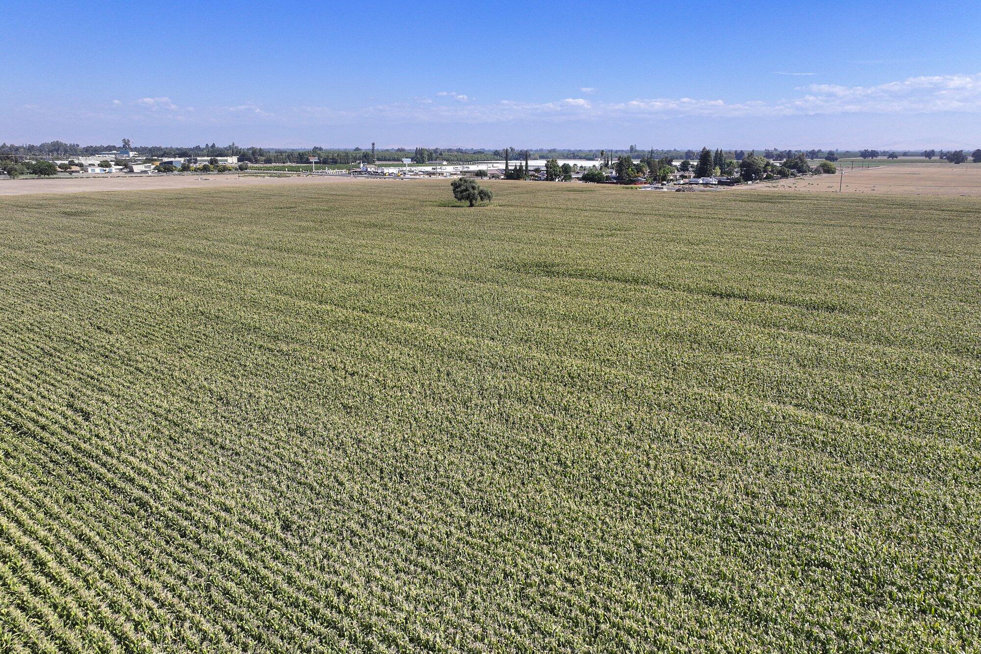 0 N Mooney Blvd, Visalia, CA 93277