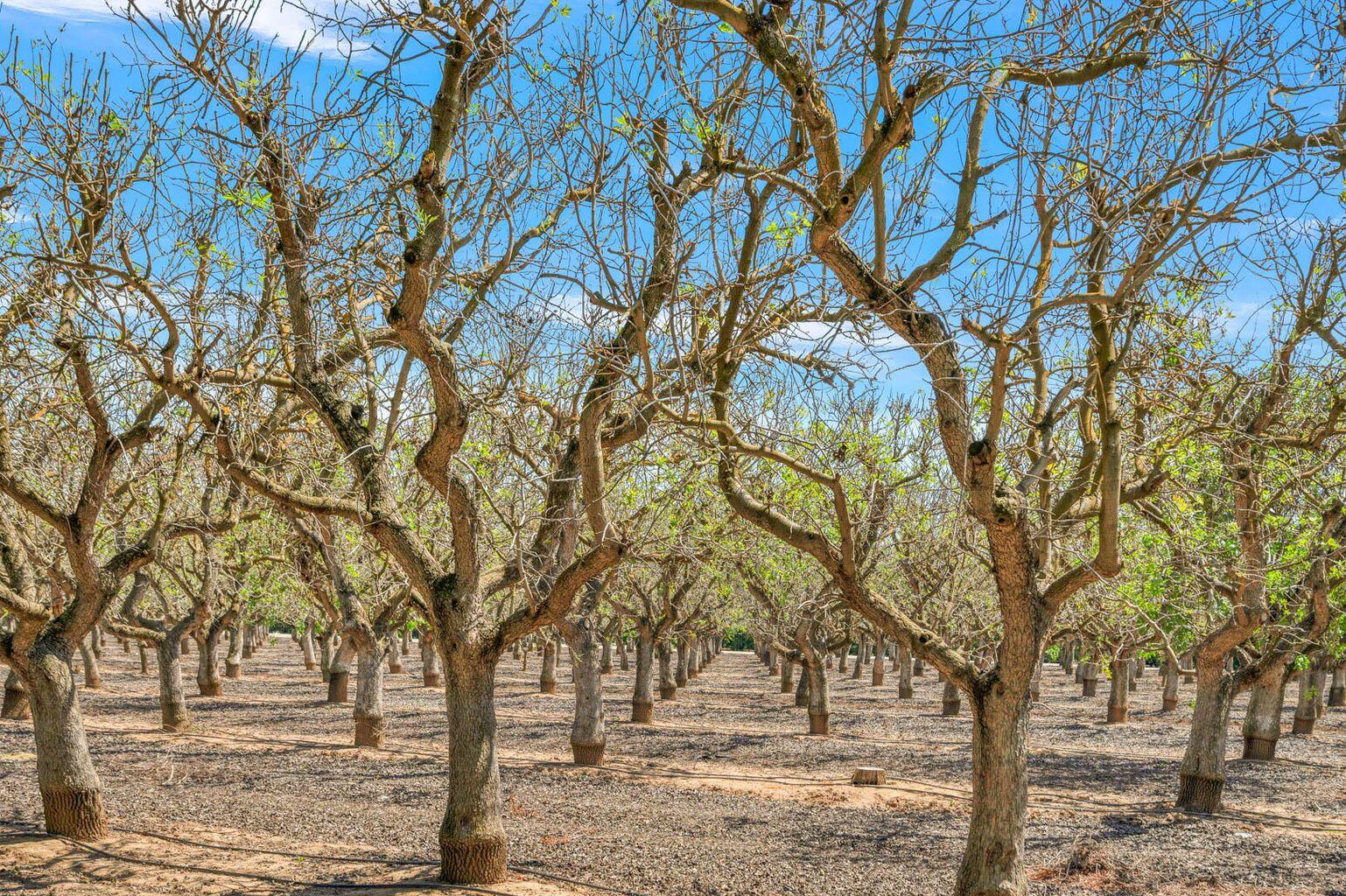 26349 Rd 192, Exeter, CA 93221