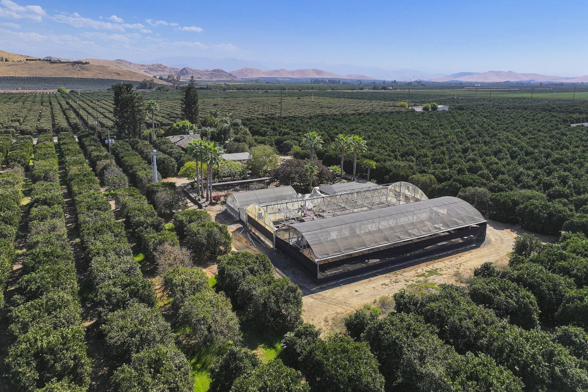 267 N Strathmore Ave, Lindsay, CA 93247