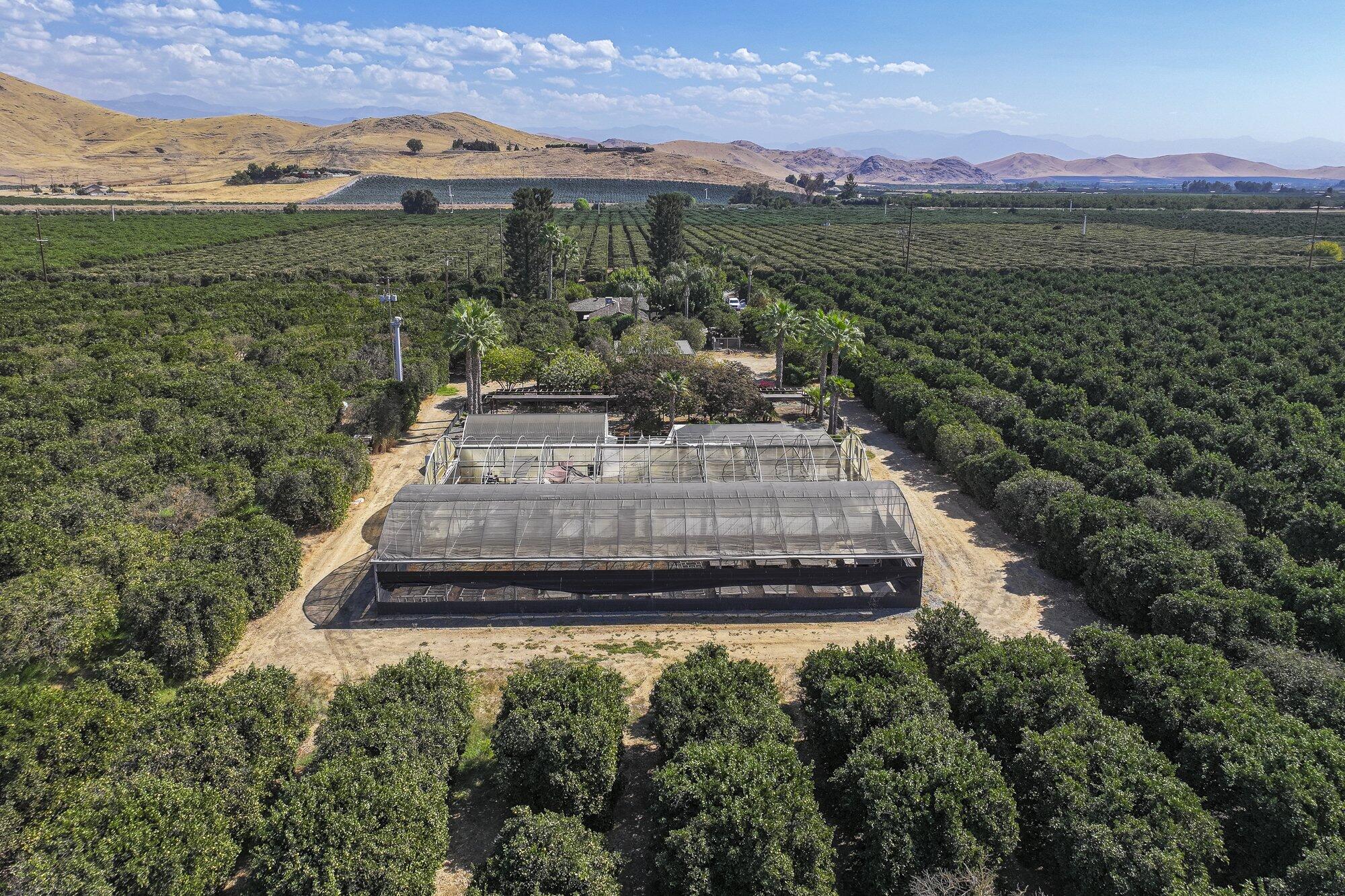 267 N Strathmore Ave, Lindsay, CA 93247