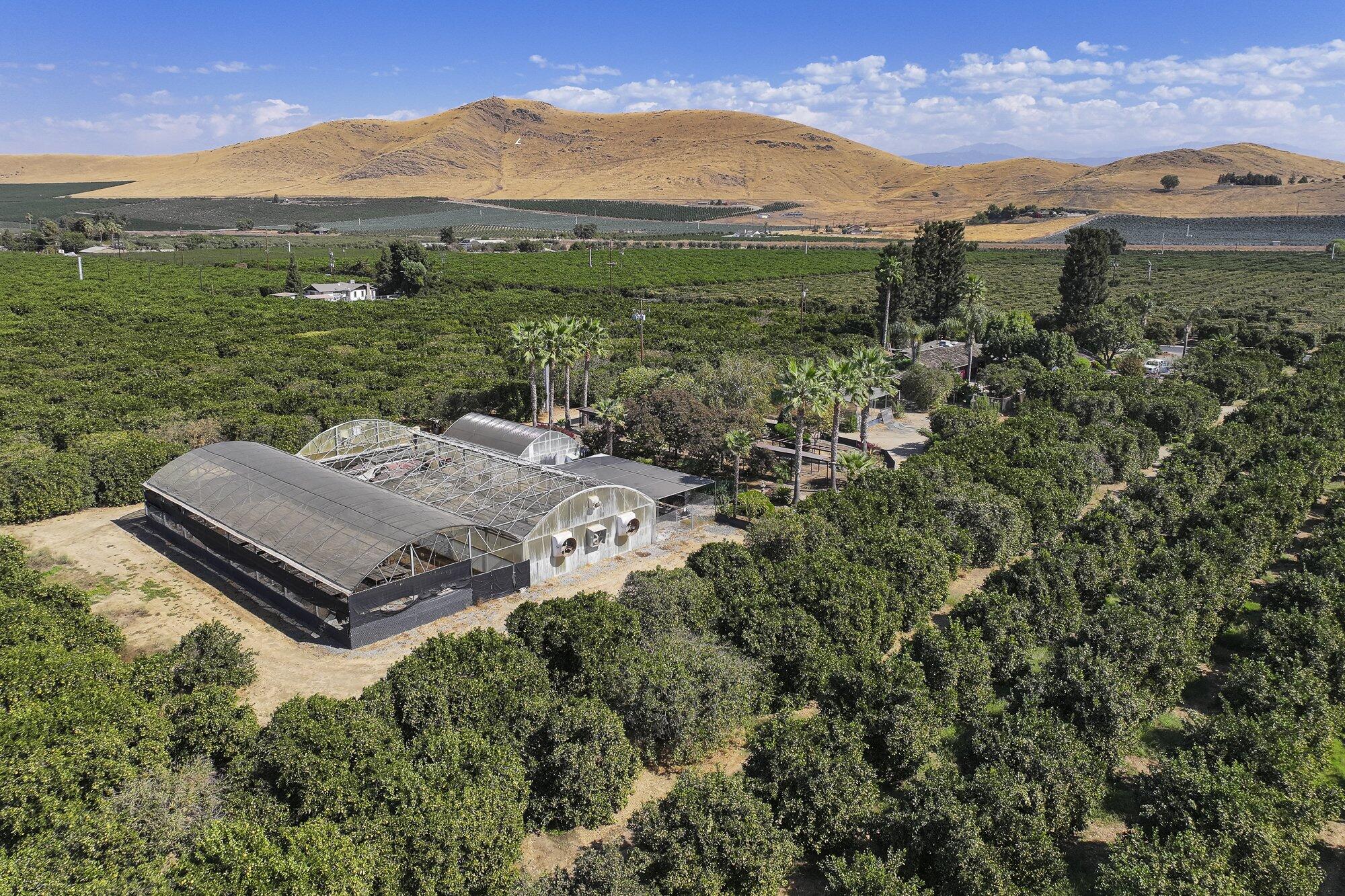 267 N Strathmore Ave, Lindsay, CA 93247