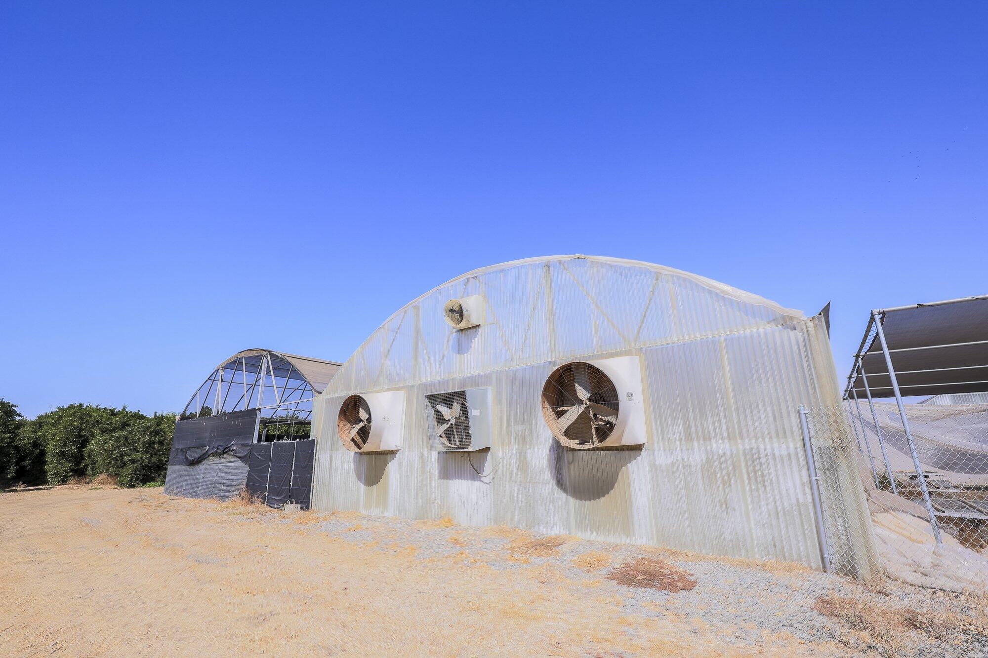 267 N Strathmore Ave, Lindsay, CA 93247