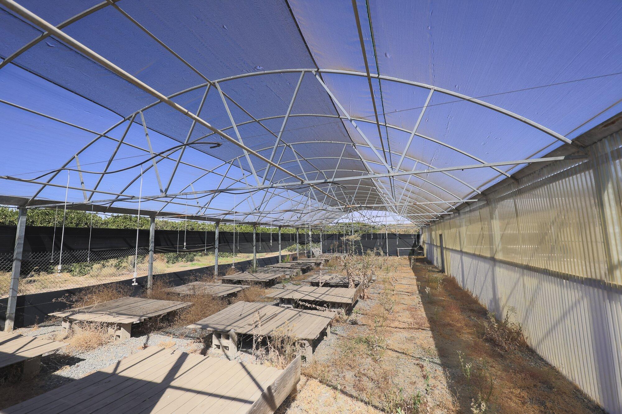 267 N Strathmore Ave, Lindsay, CA 93247