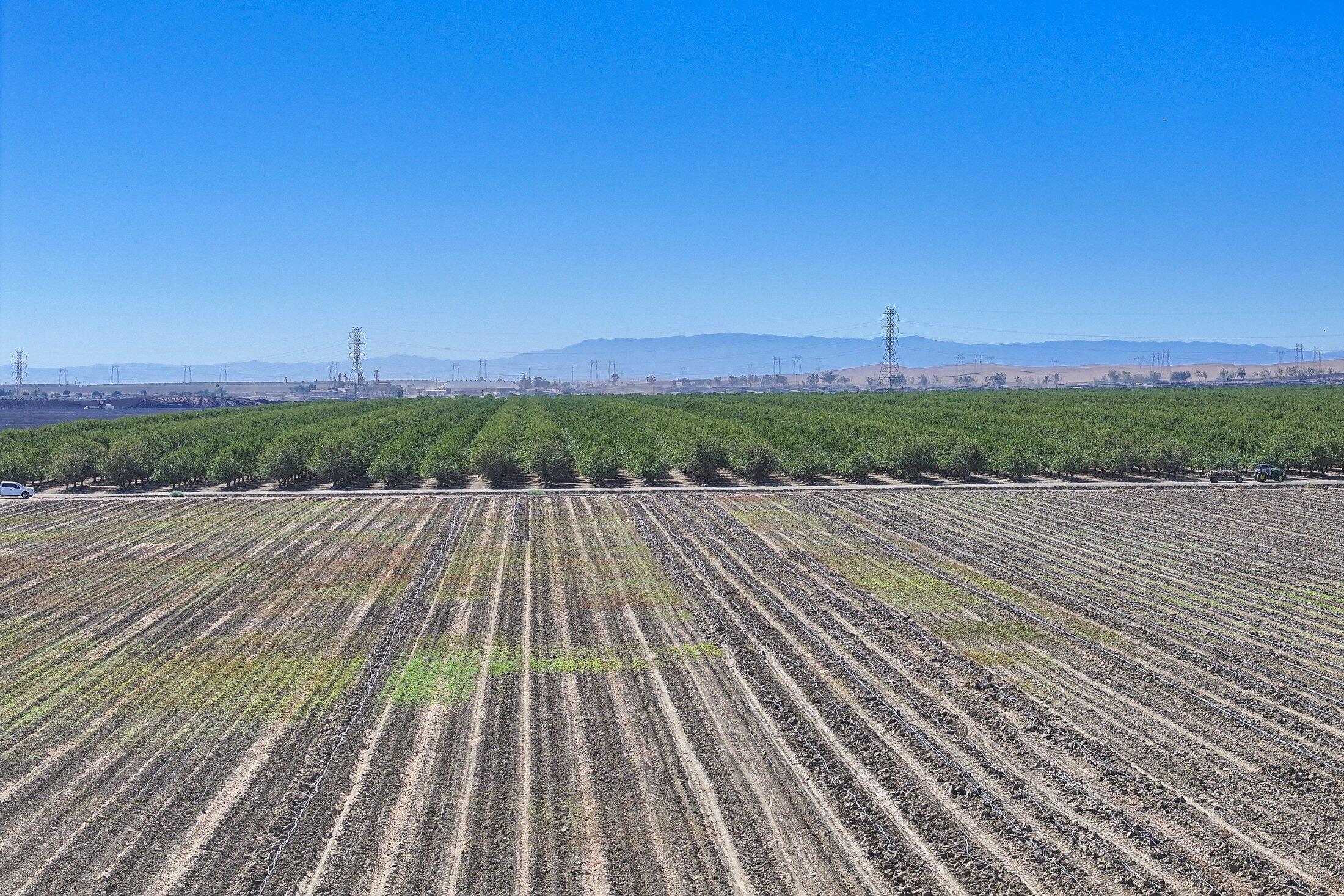 0 W Packard Ave, Coalinga, CA 93210