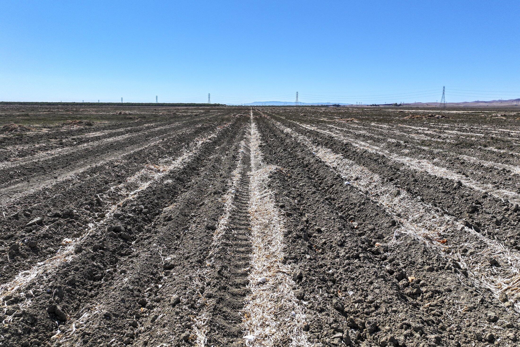 0 W Packard Ave, Coalinga, CA 93210