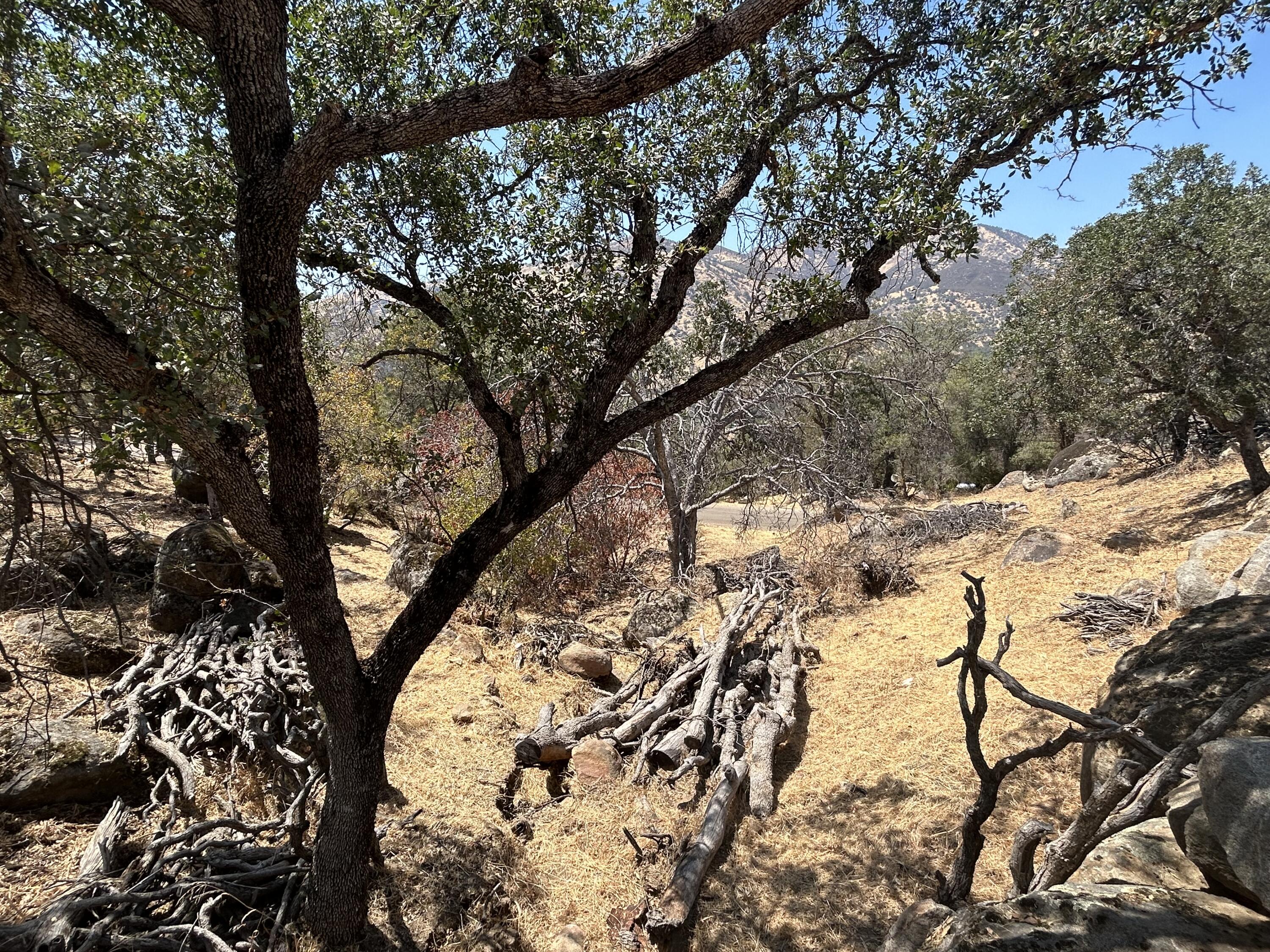 0 Oak Grove Dr, Three Rivers, CA 93271