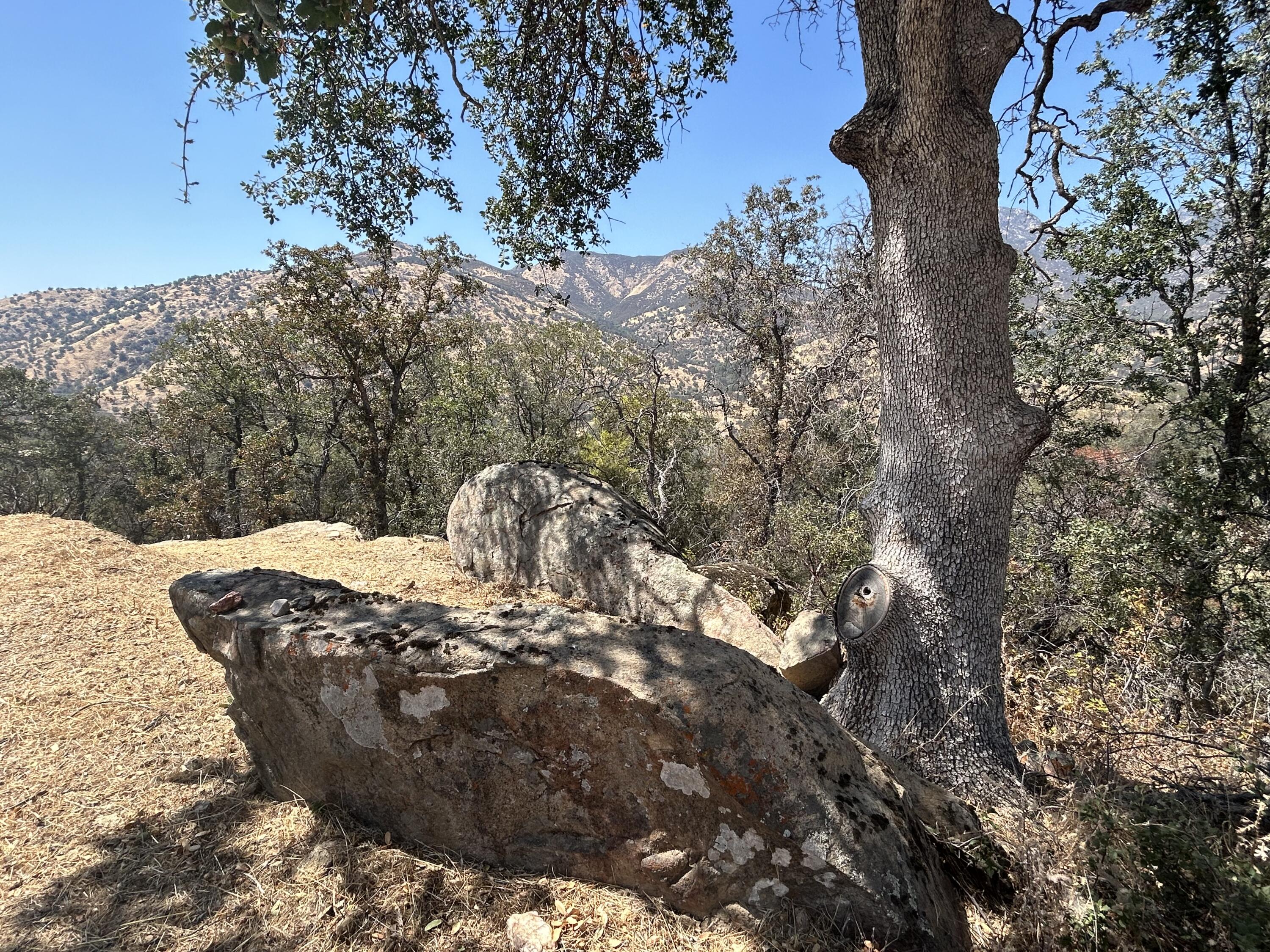 0 Oak Grove Dr, Three Rivers, CA 93271