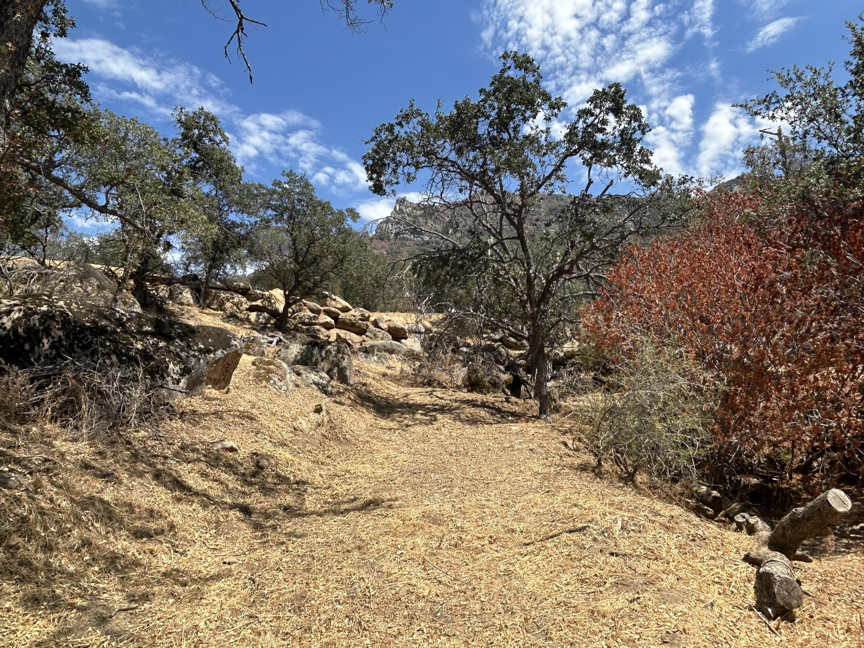 0 Oak Grove Dr, Three Rivers, CA 93271