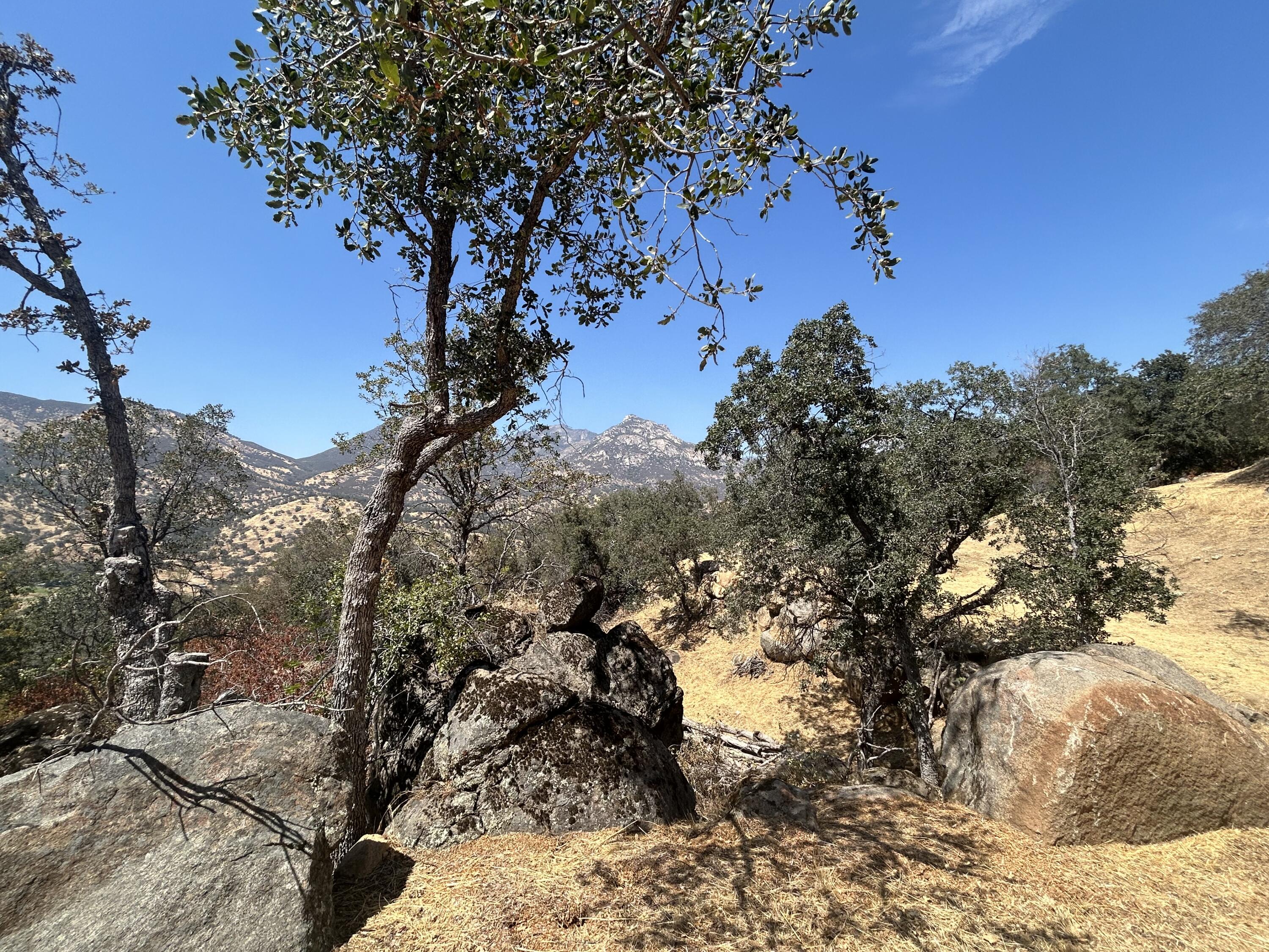 0 Oak Grove Dr, Three Rivers, CA 93271