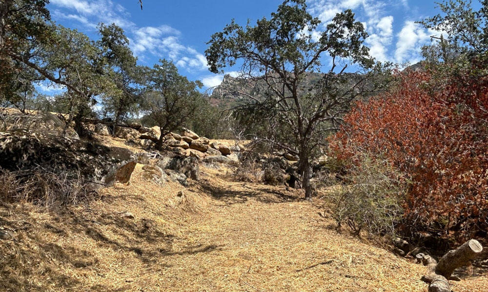 0 Oak Grove Dr, Three Rivers, CA 93271