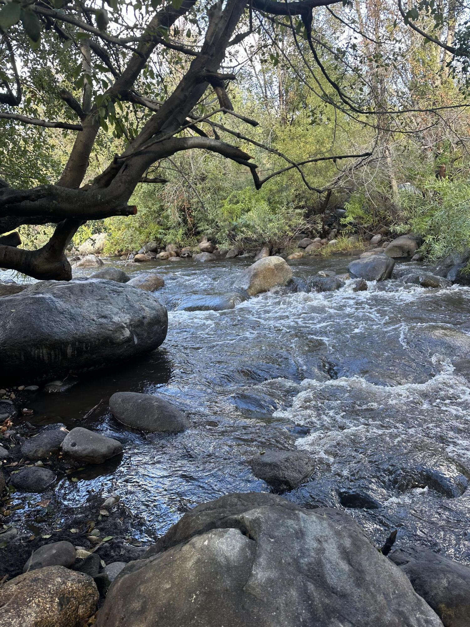 44609 Dinely Dr, Three Rivers, CA 93271