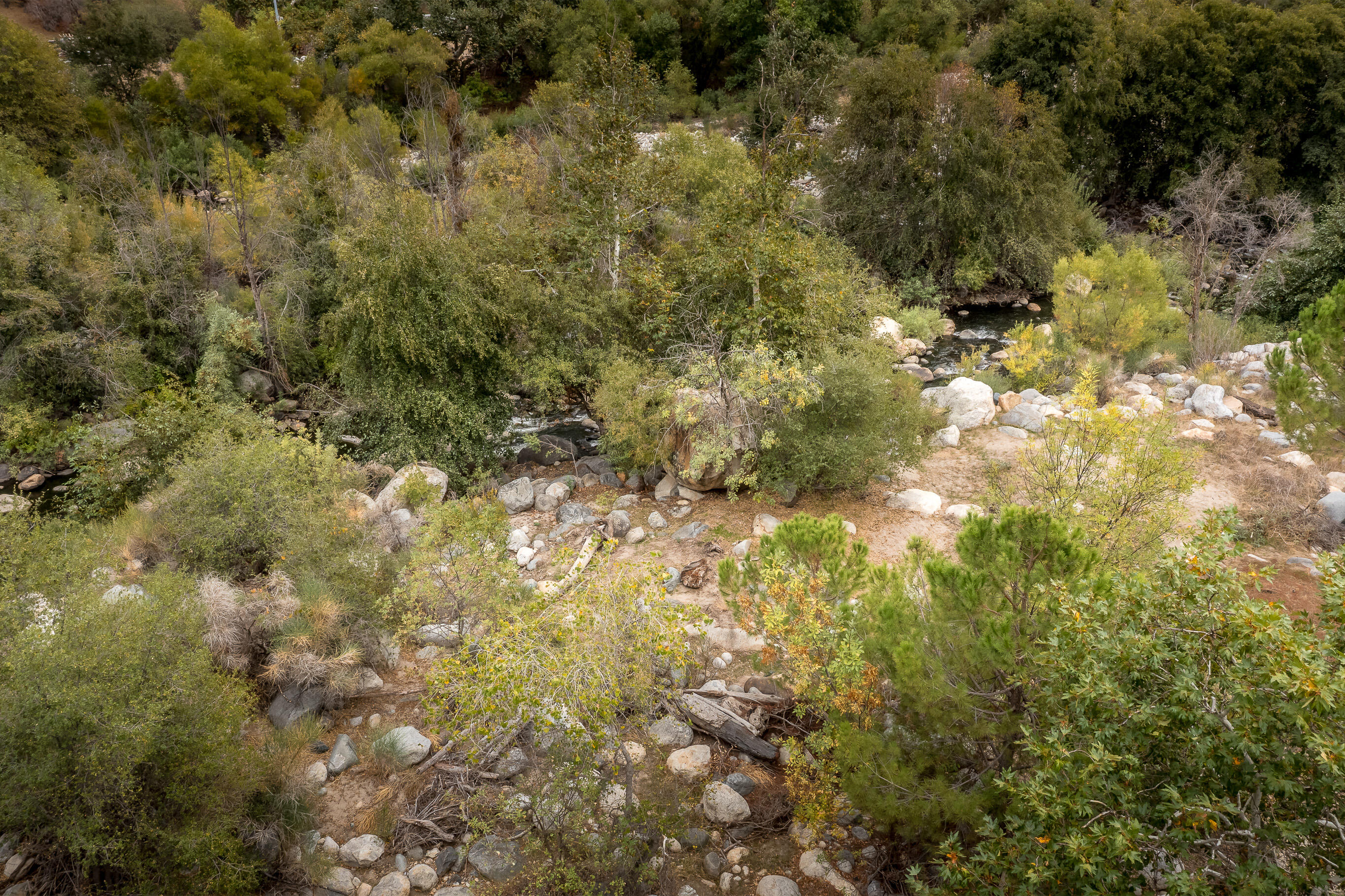 44609 Dinely Dr, Three Rivers, CA 93271