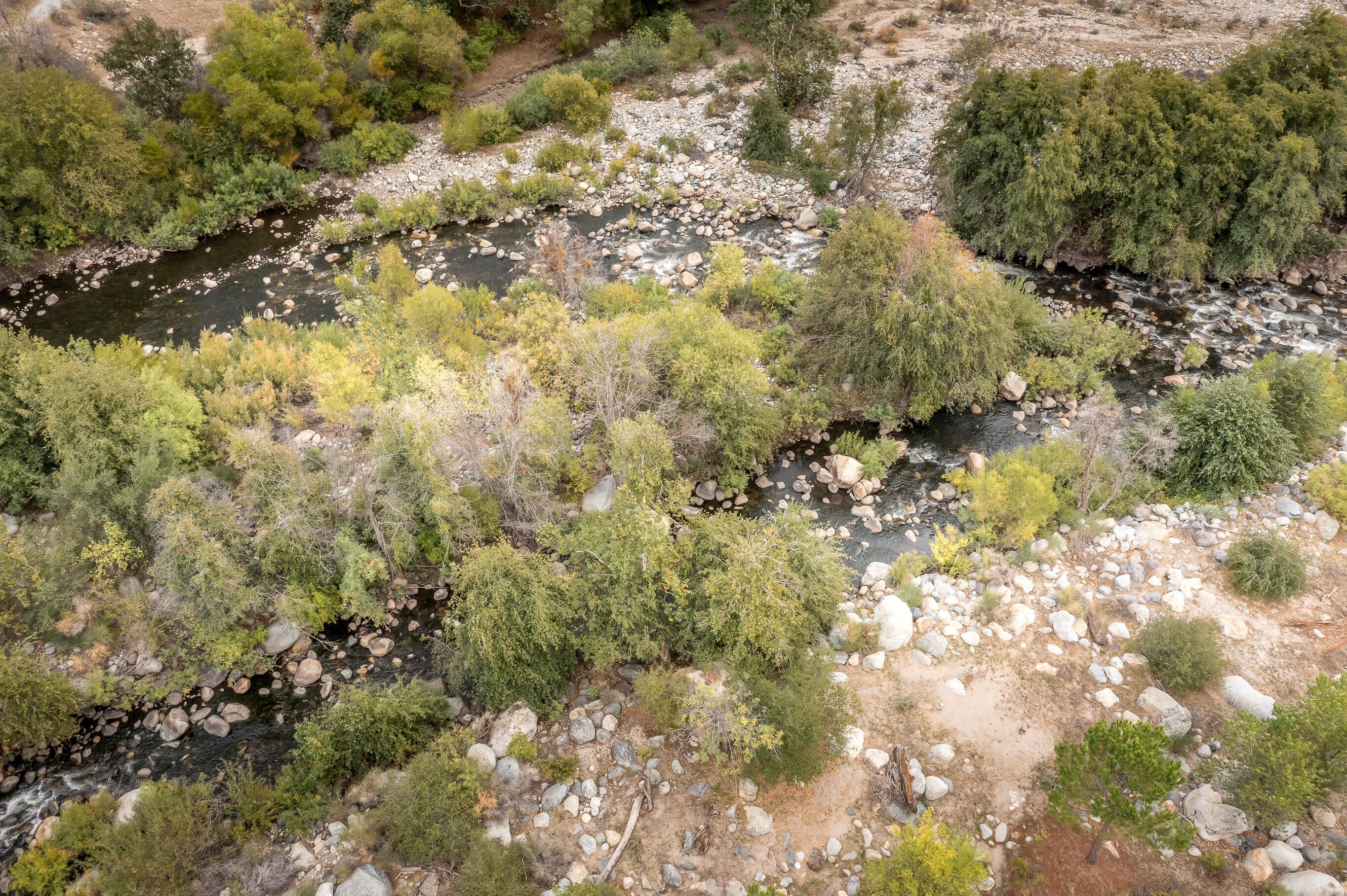 44609 Dinely Dr, Three Rivers, CA 93271