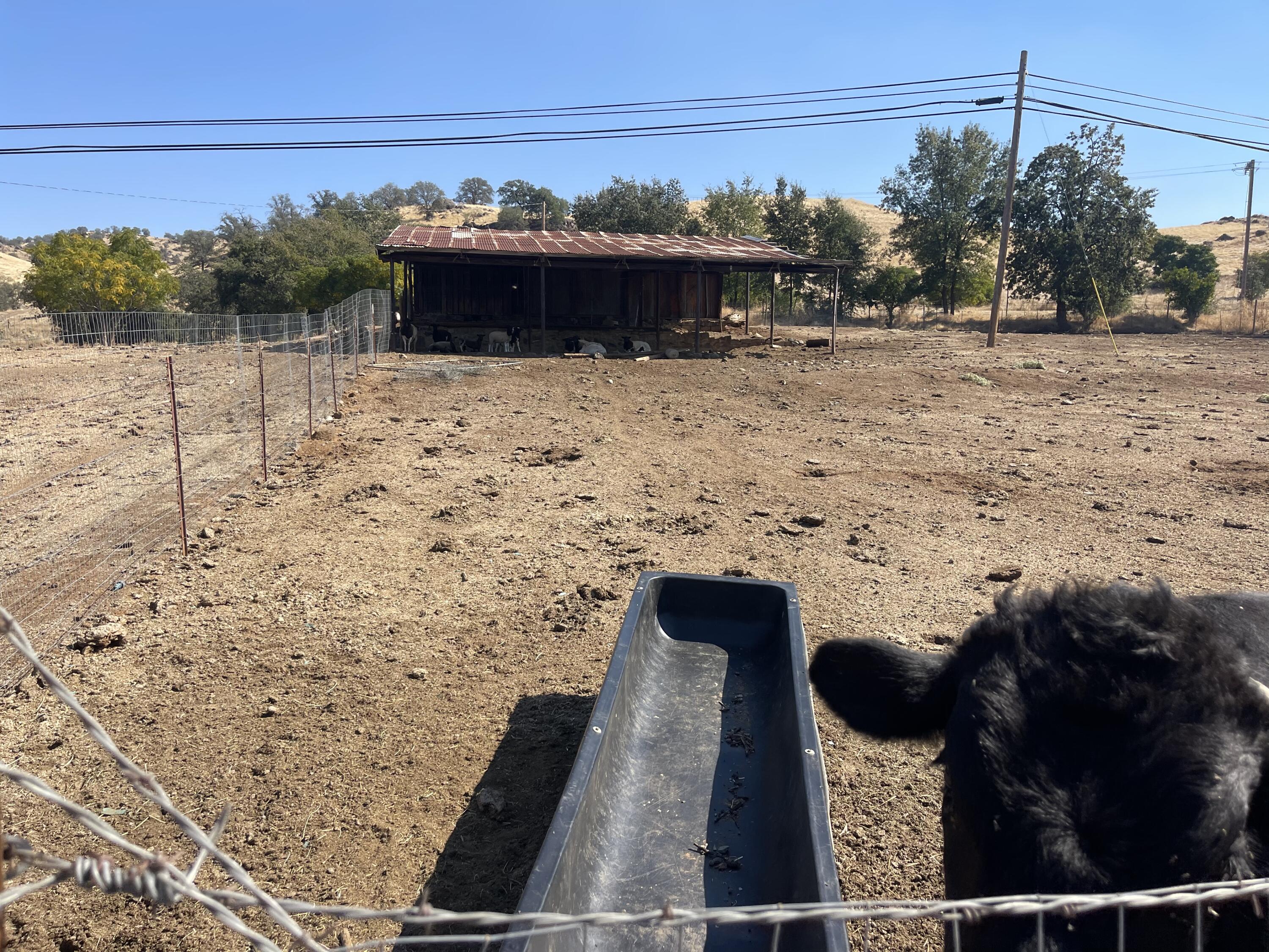 31369 Success Valley Dr, Porterville, CA 93257