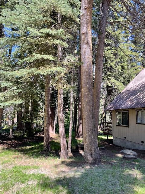 57393 Ponderosa Dr, Ponderosa, CA 93265