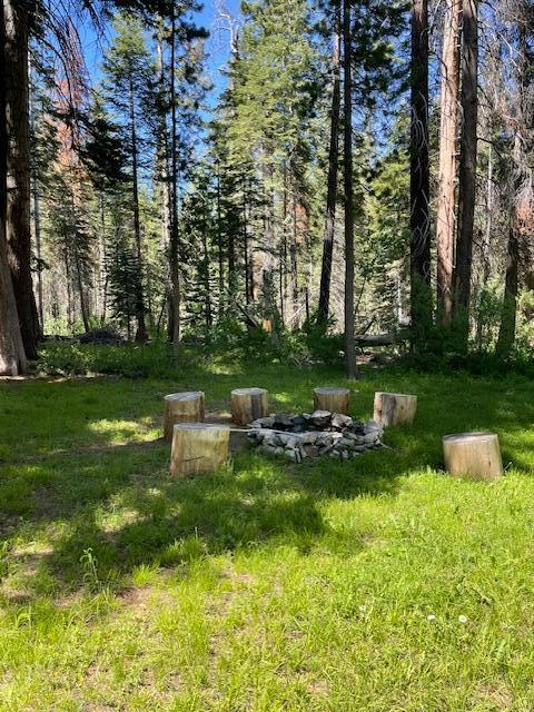 57393 Ponderosa Dr, Ponderosa, CA 93265