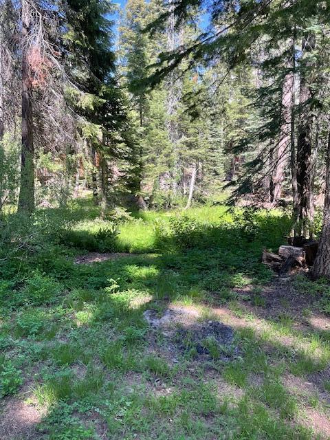 57393 Ponderosa Dr, Ponderosa, CA 93265