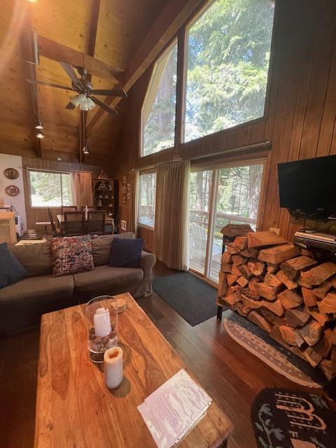 57393 Ponderosa Dr, Ponderosa, CA 93265