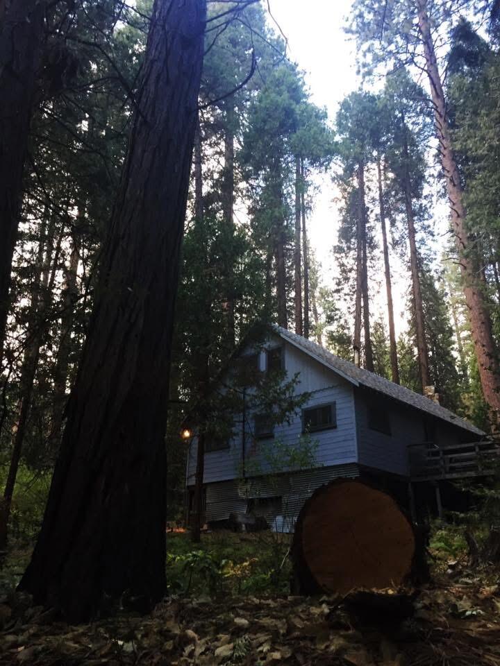 2115 Ferguson Dr, Camp Nelson, CA 93265