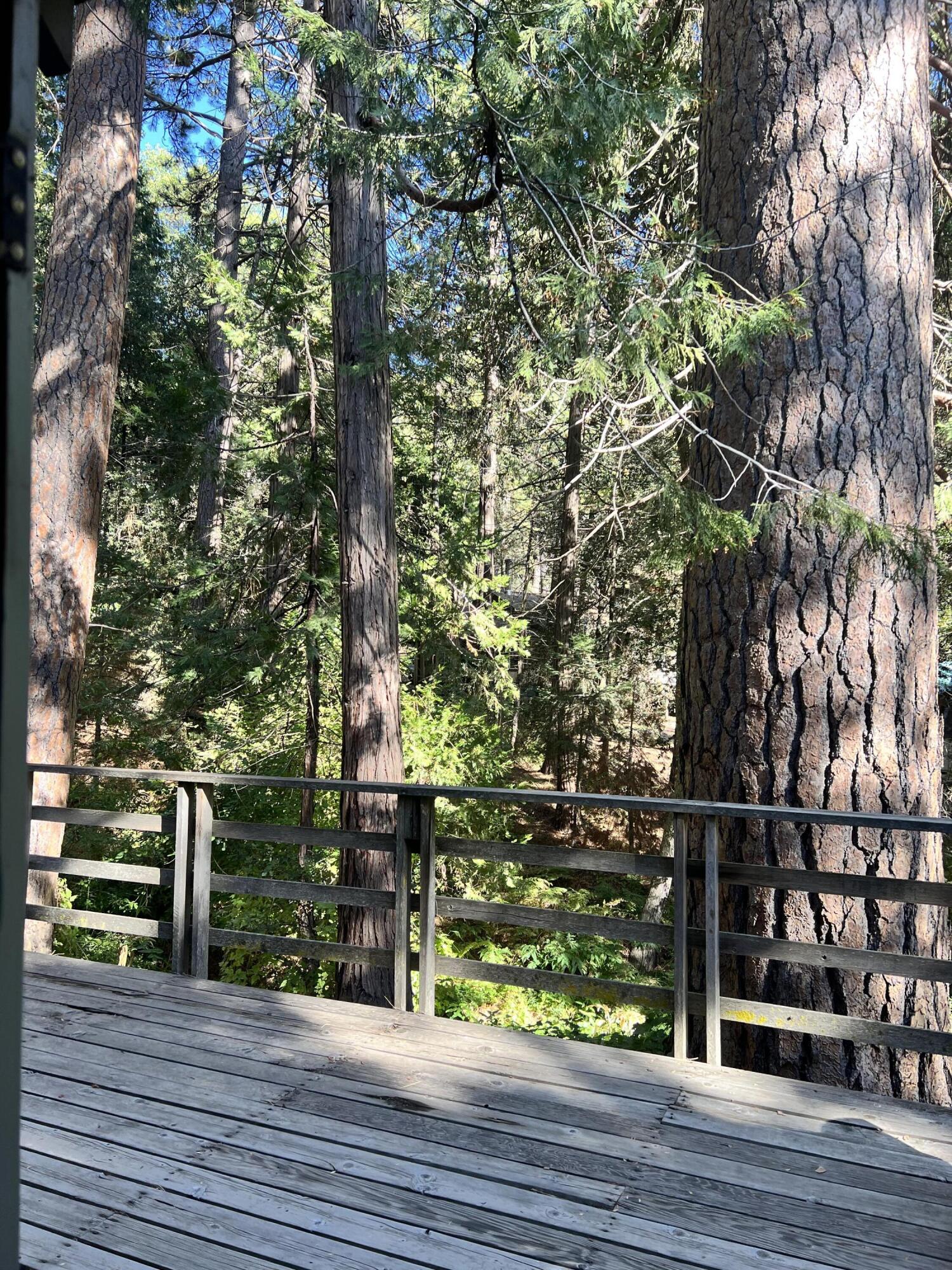 2115 Ferguson Dr, Camp Nelson, CA 93265