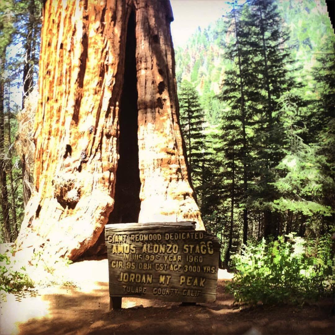 2115 Ferguson Dr, Camp Nelson, CA 93265