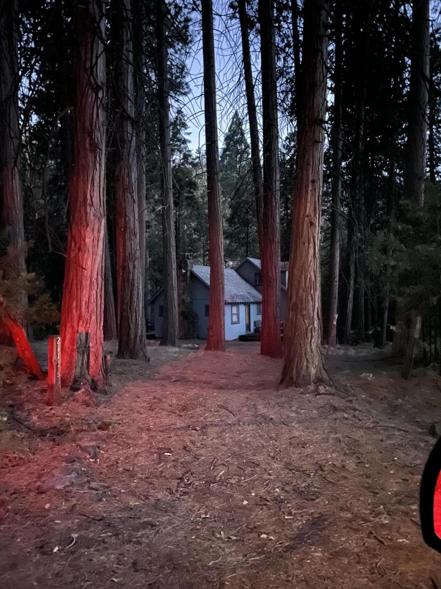 2115 Ferguson Dr, Camp Nelson, CA 93265