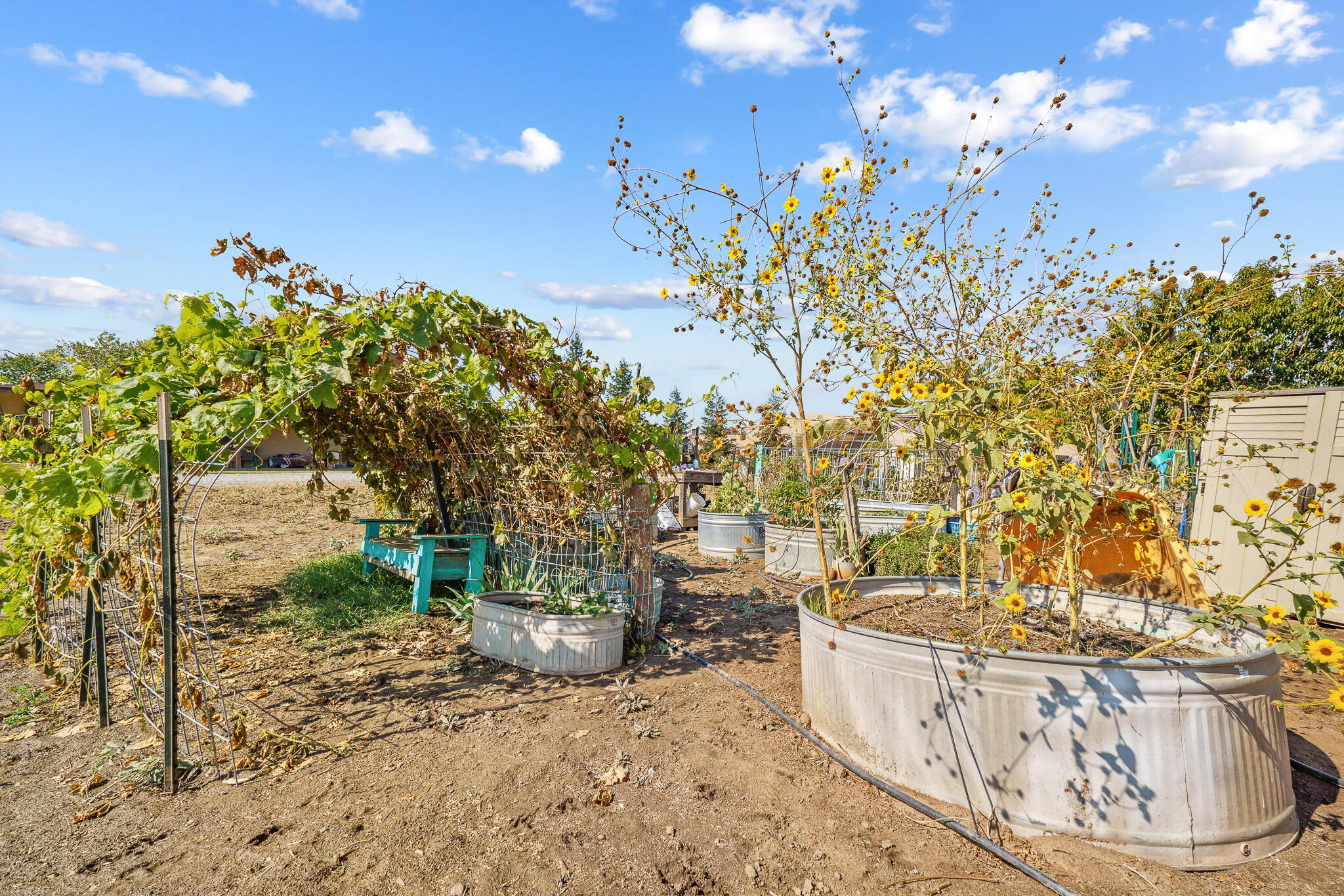 24279 Ave 224, Lindsay, CA 93247