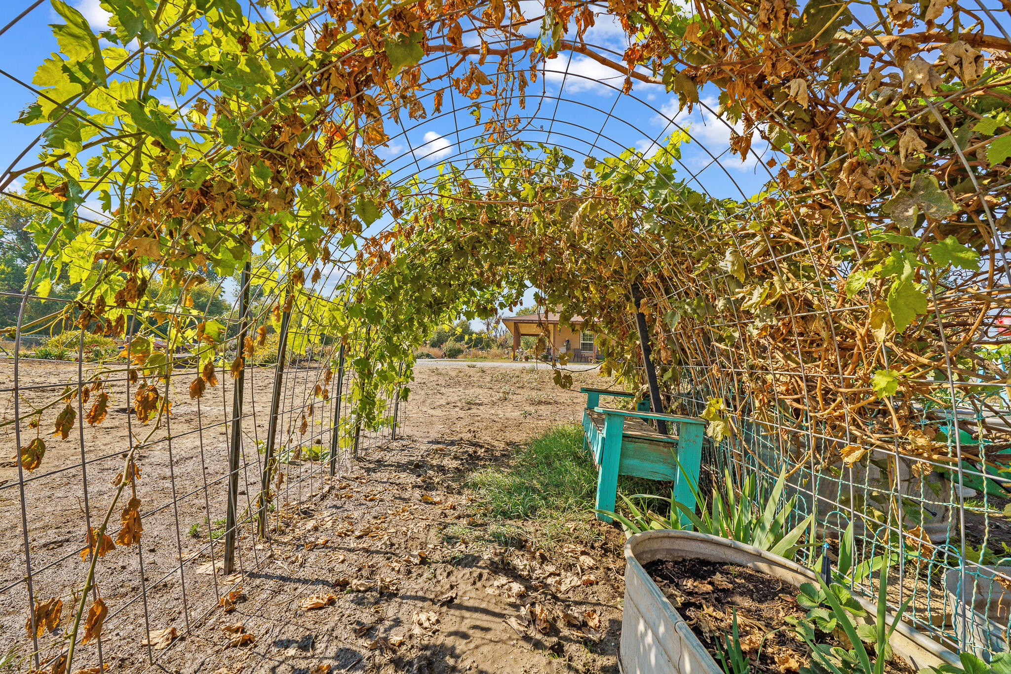 24279 Ave 224, Lindsay, CA 93247