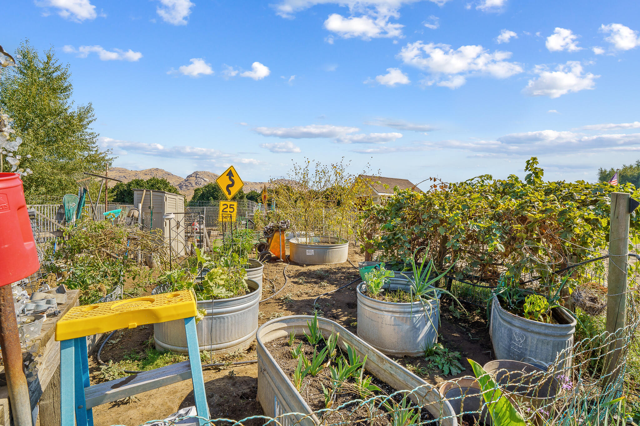 24279 Ave 224, Lindsay, CA 93247