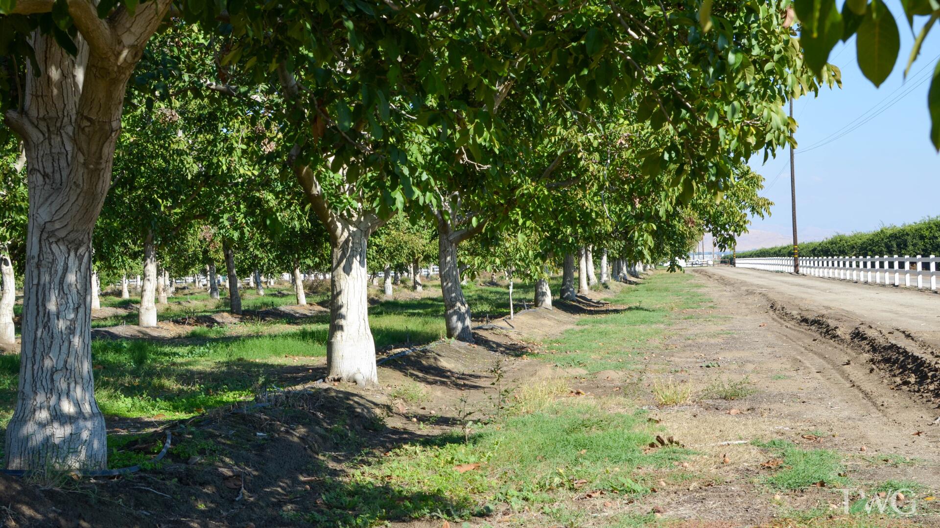 0 Ave 168, Tulare, CA 93274