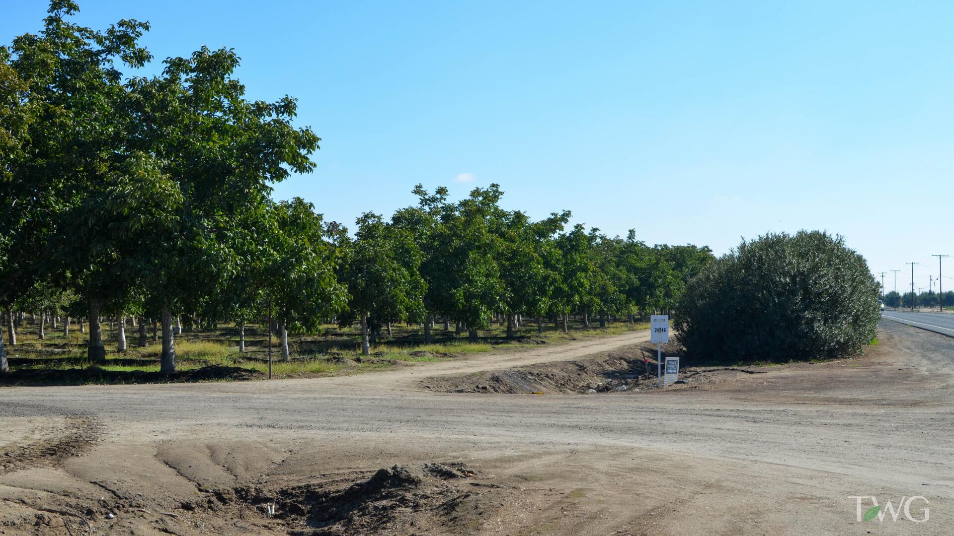 0 Ave 168, Tulare, CA 93274