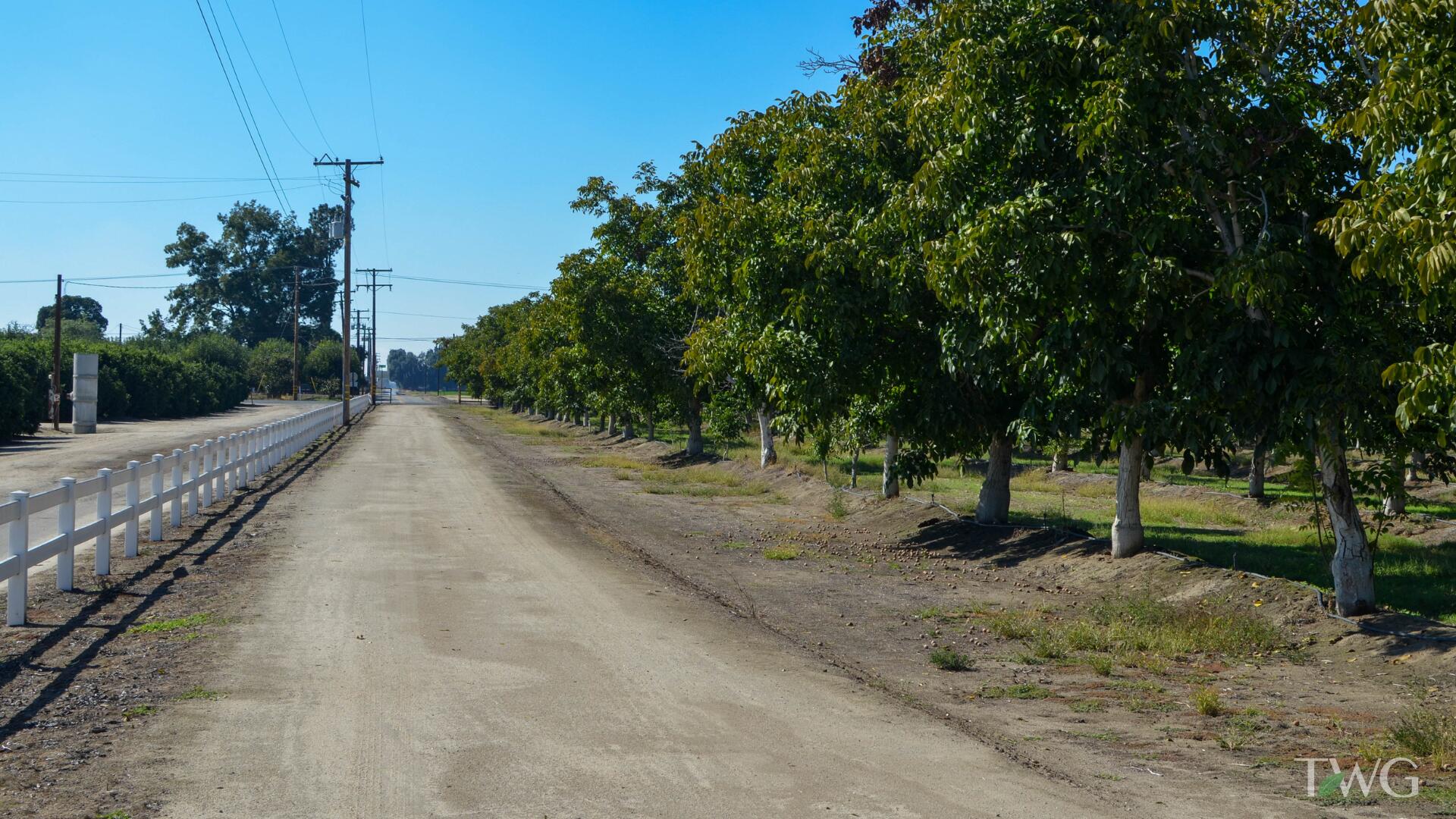 0 Ave 168, Tulare, CA 93274