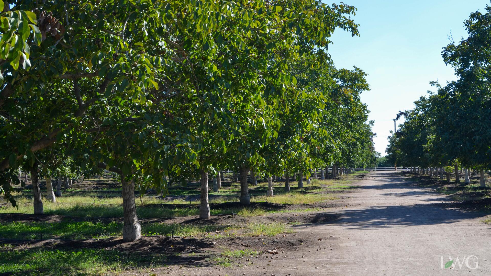 0 Ave 168, Tulare, CA 93274