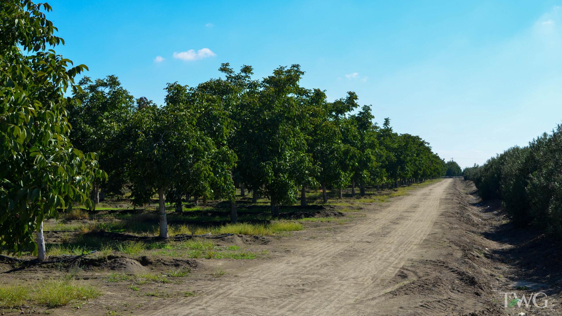 0 Ave 168, Tulare, CA 93274