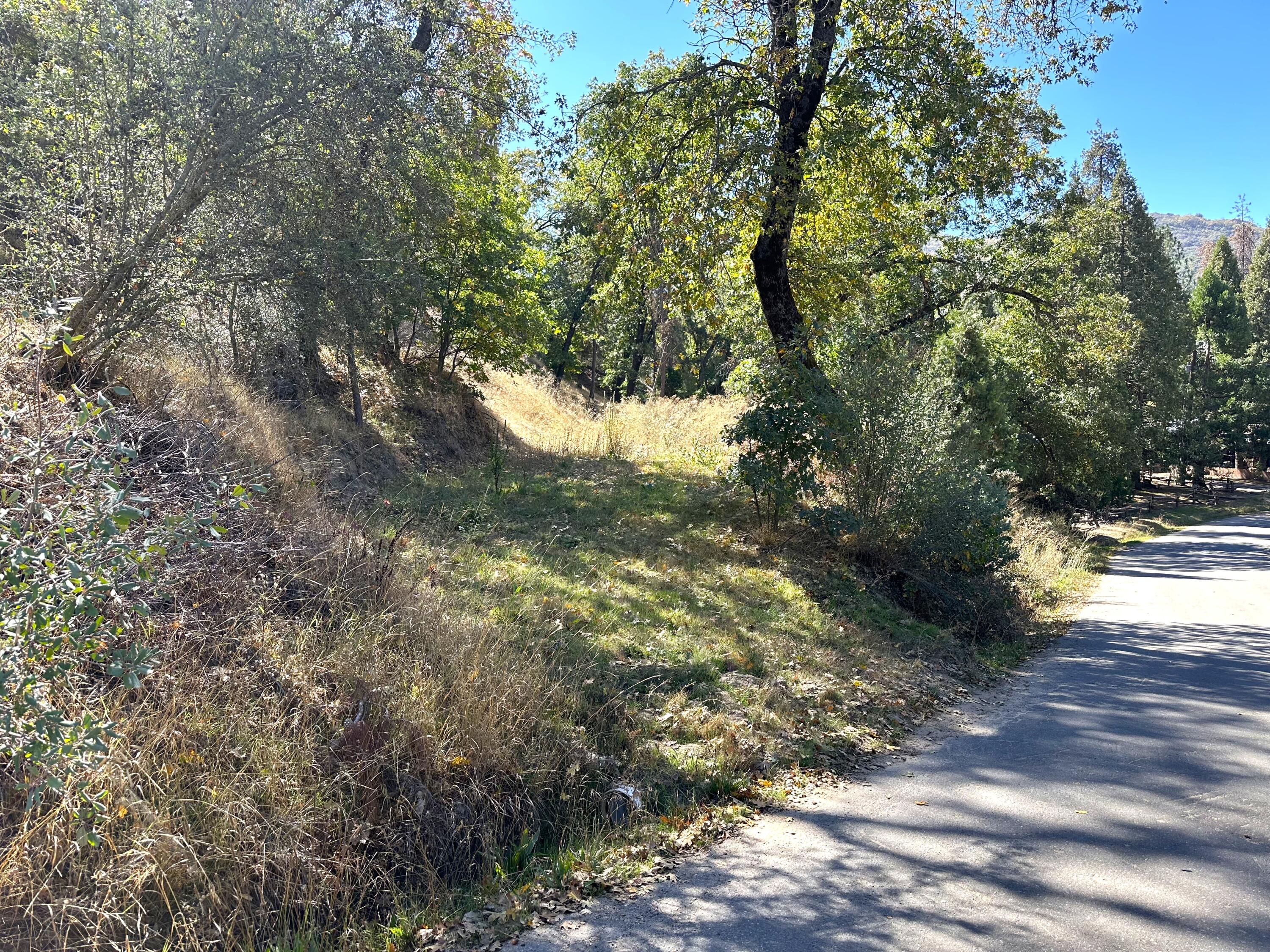 Lot 1 Manter Meadow Dr, California Hot Springs, CA 93207